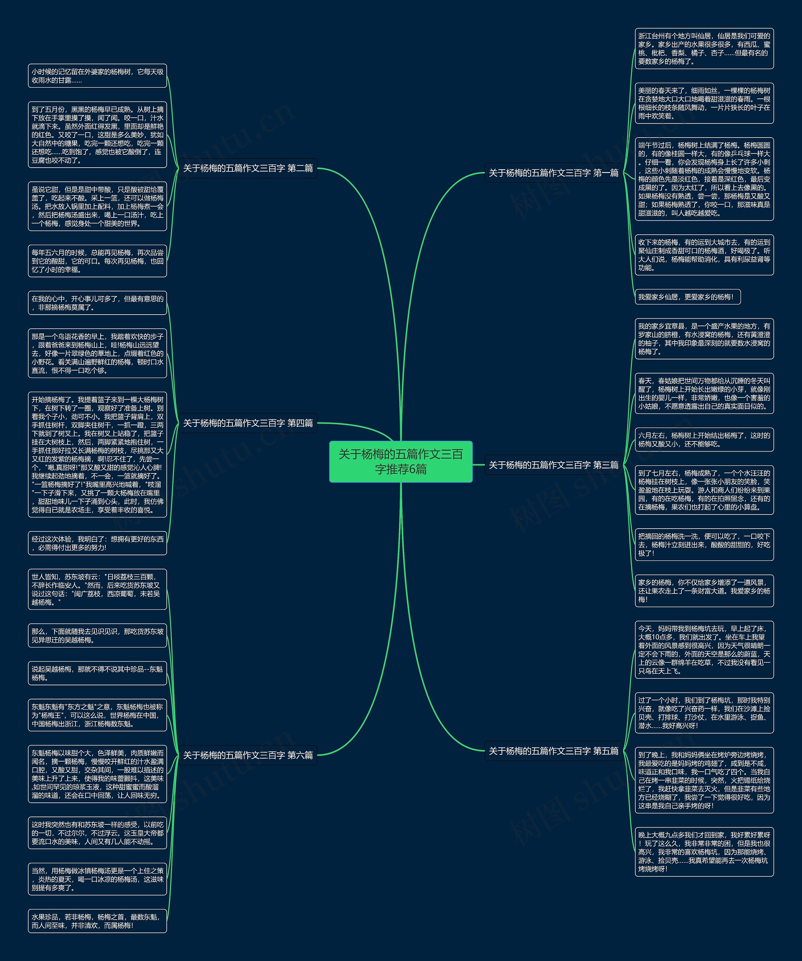关于杨梅的五篇作文三百字推荐6篇 关于杨梅的五篇作文三百字推荐6篇