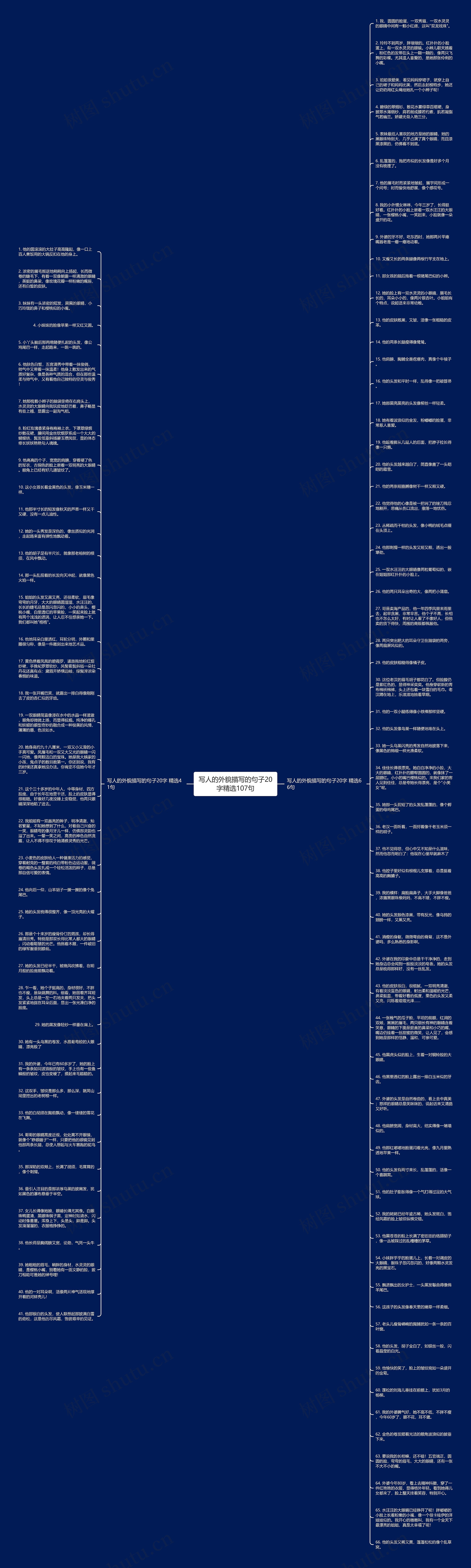 写人的外貌描写的句子20字精选107句思维导图
