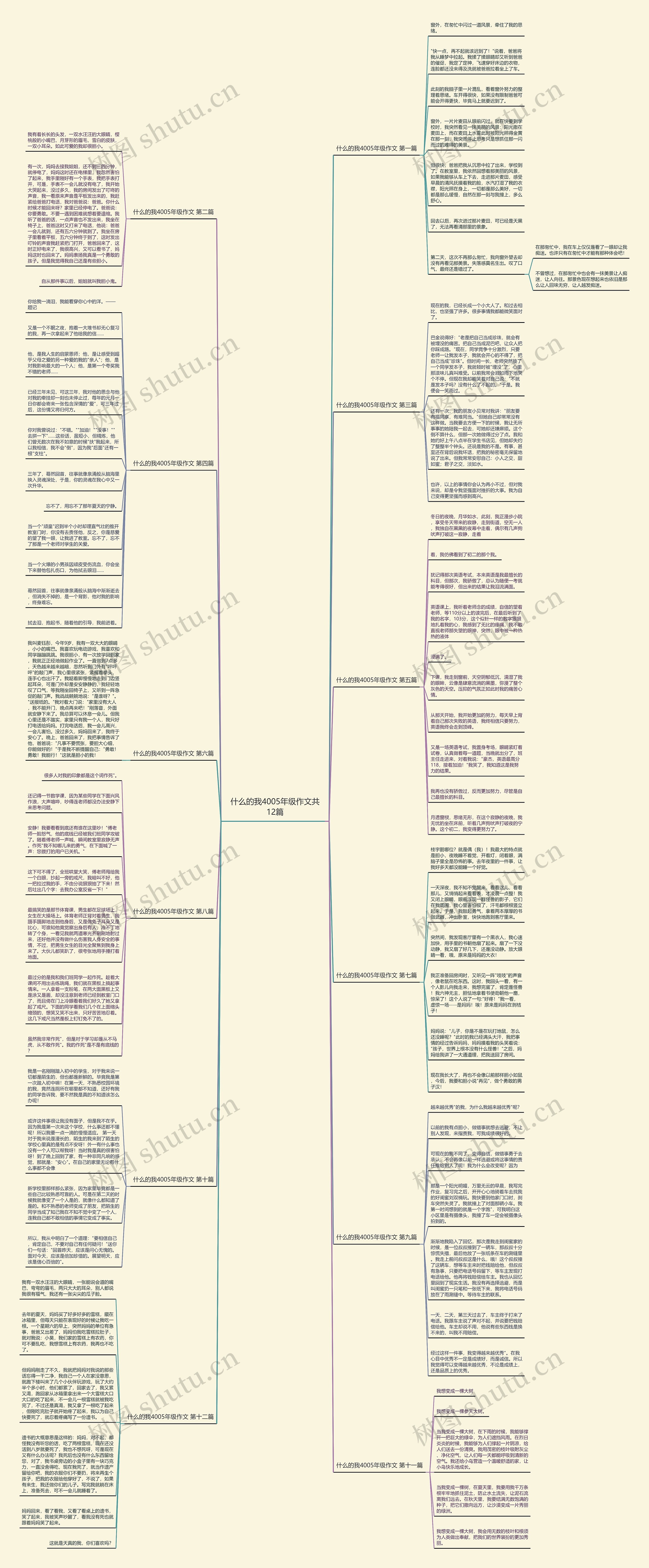 什么的我4005年级作文共12篇