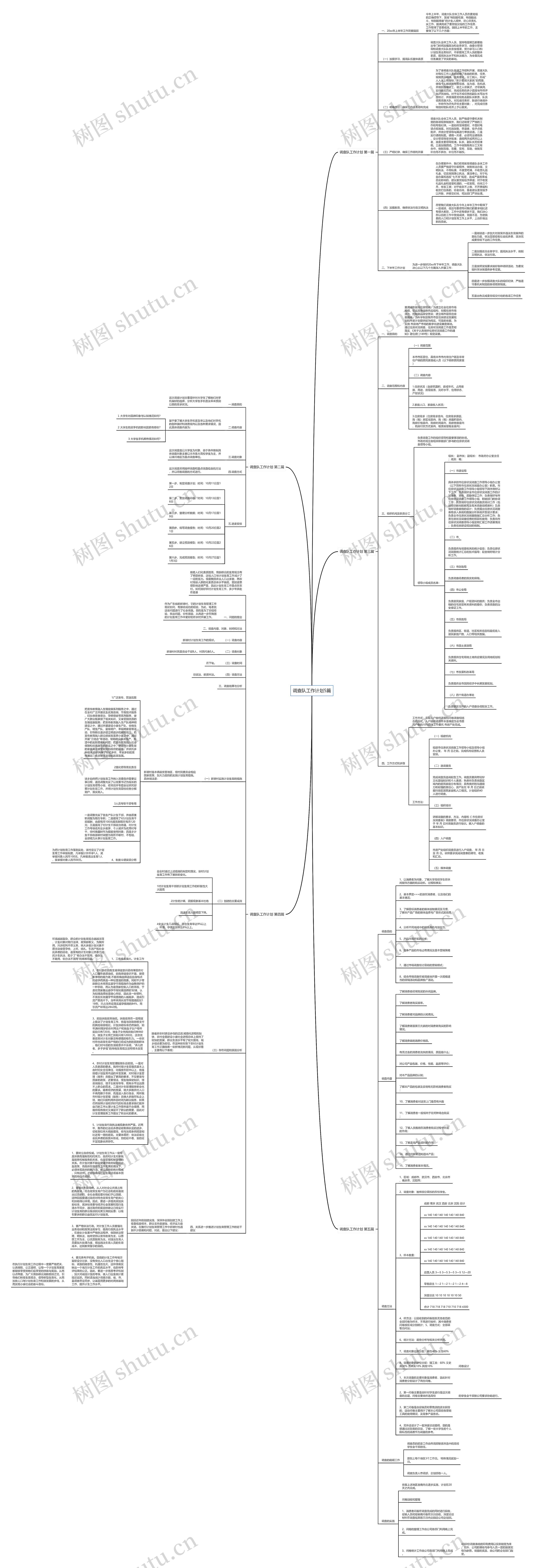 调查队工作计划5篇思维导图