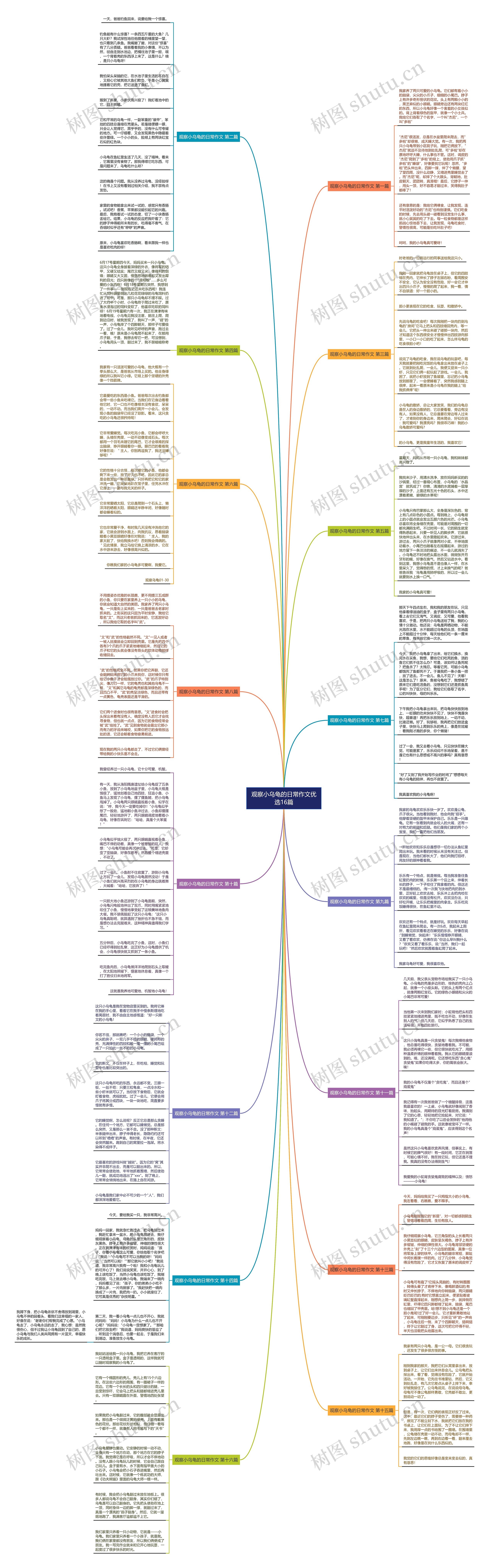 观察小乌龟的日常作文优选16篇思维导图