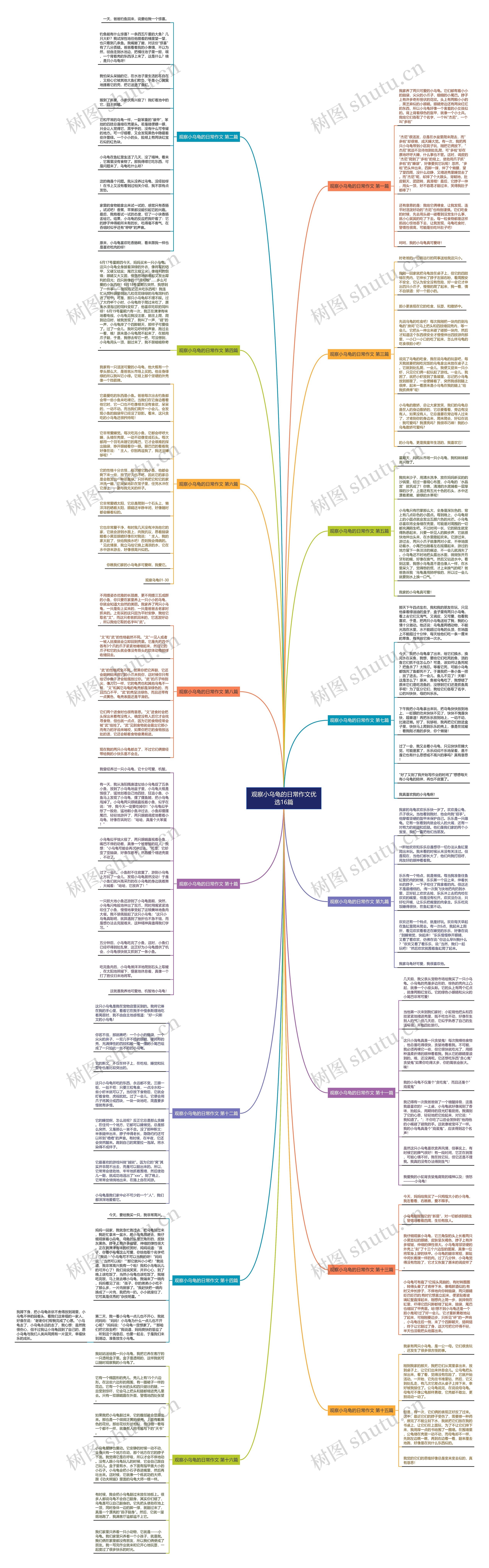 观察小乌龟的日常作文优选16篇 观察小乌龟的日常作文优选16篇
