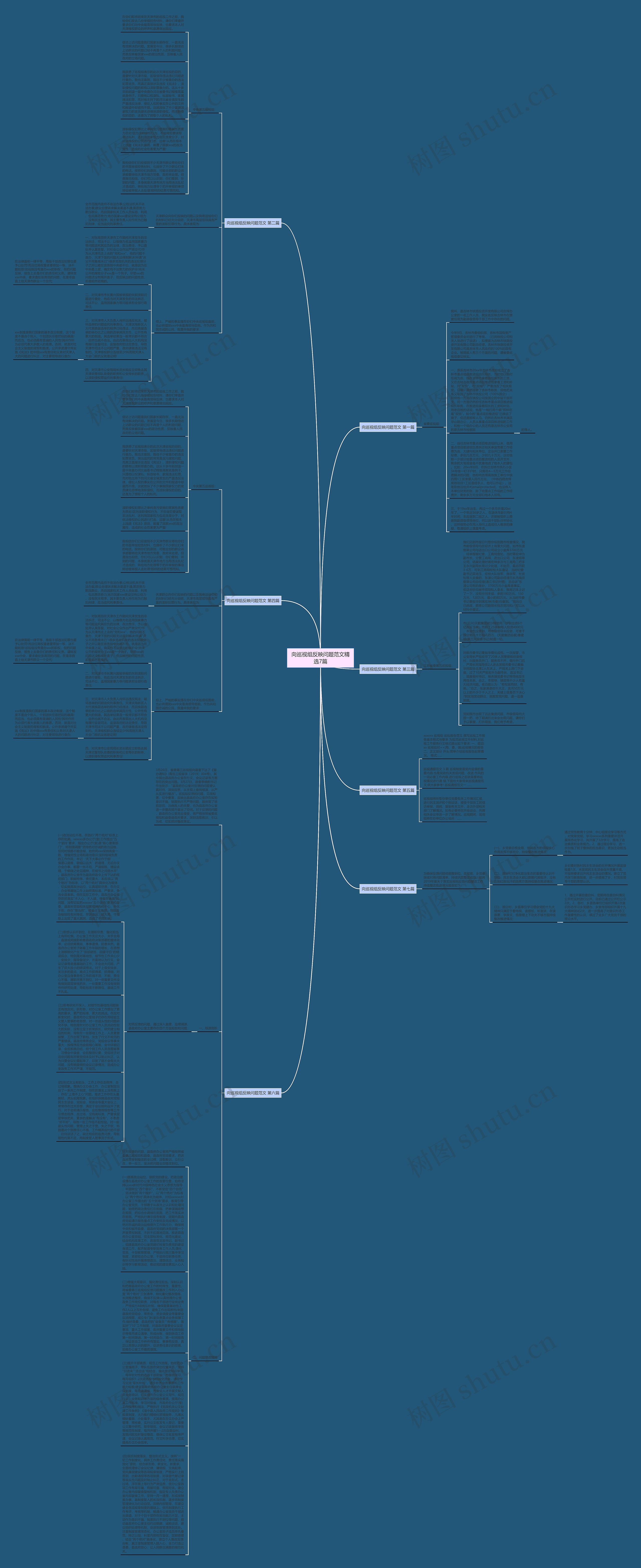 向巡视组反映问题范文精选7篇思维导图
