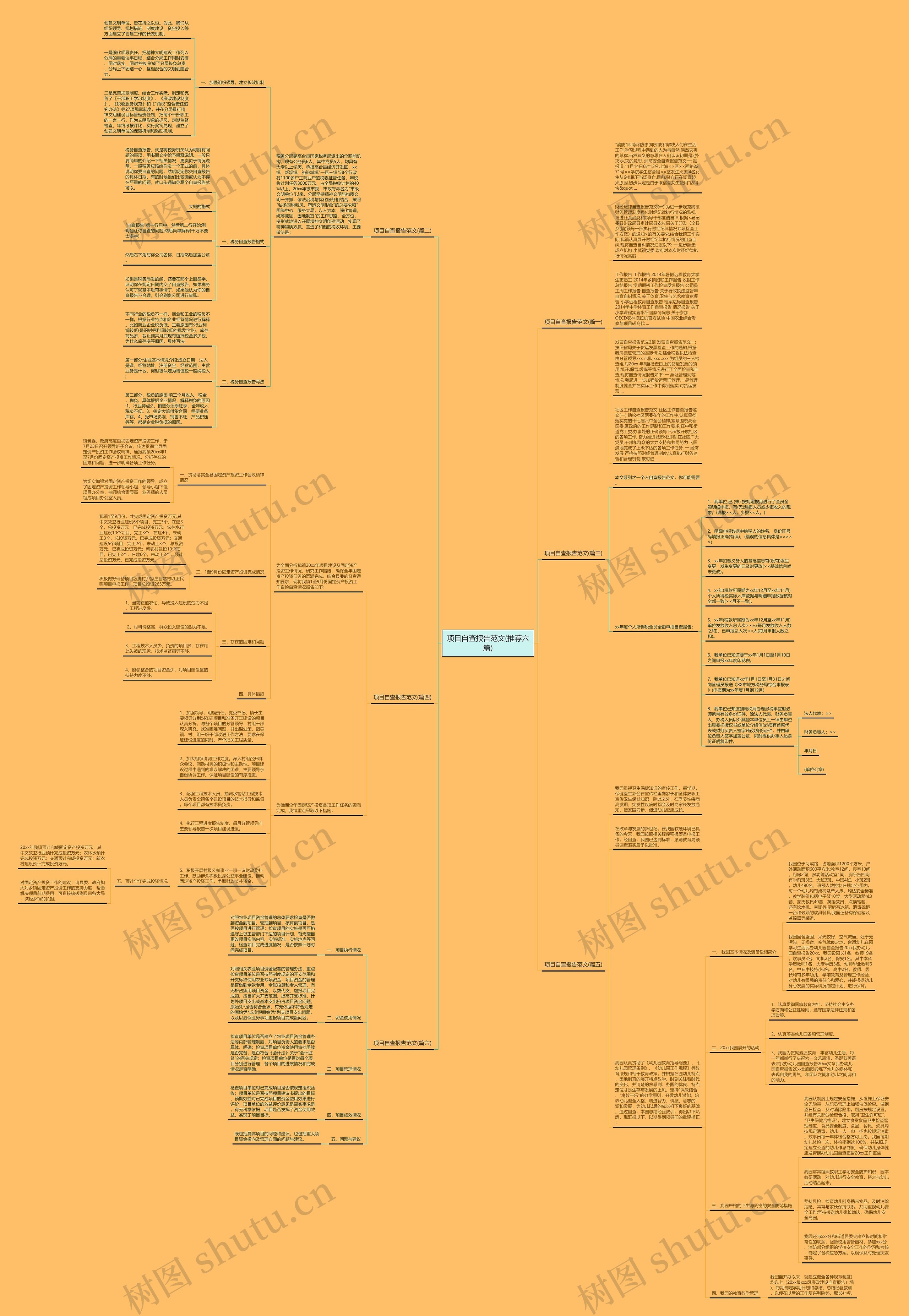 项目自查报告范文(推荐六篇)思维导图