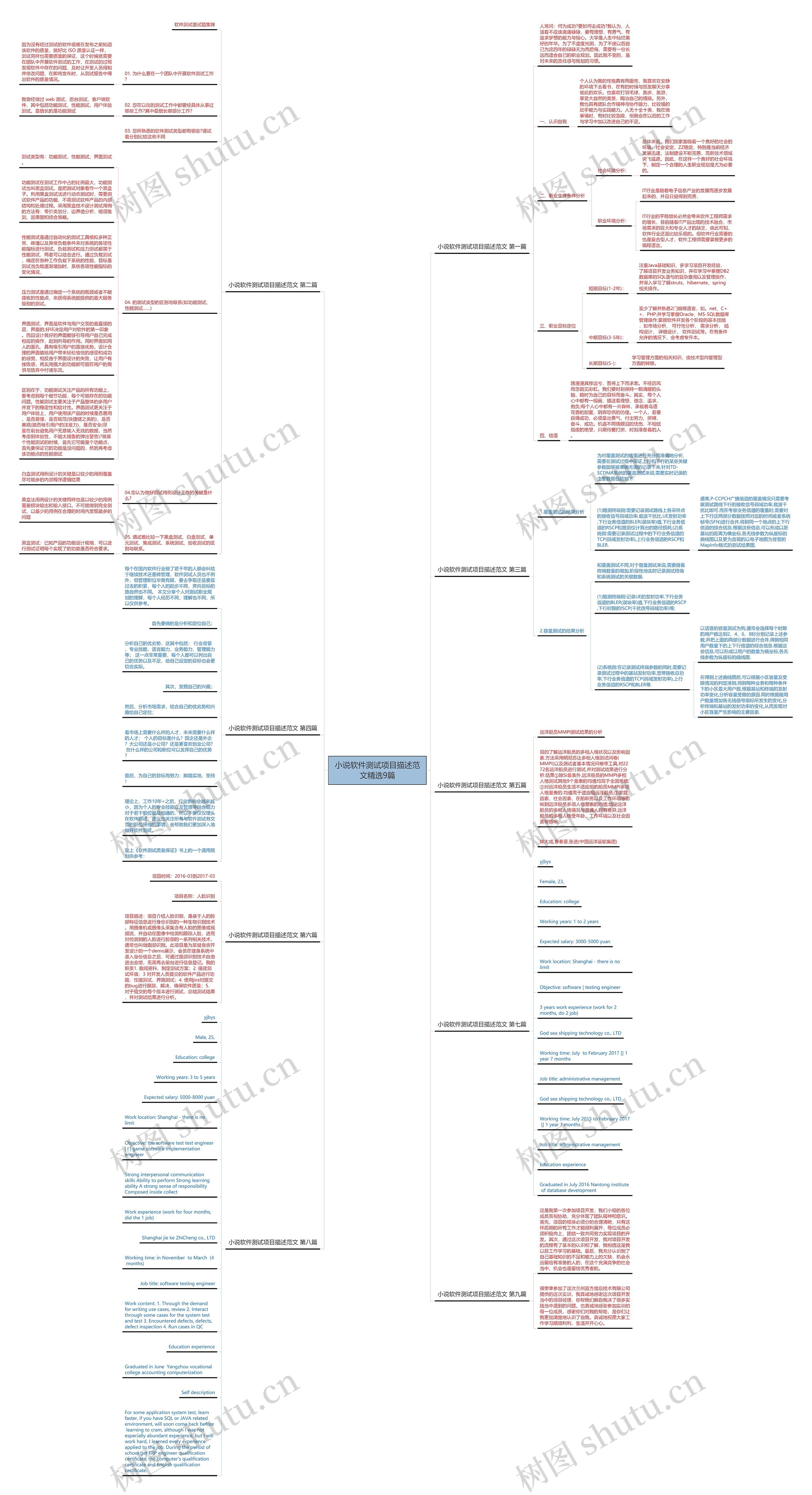 小说软件测试项目描述范文精选9篇思维导图