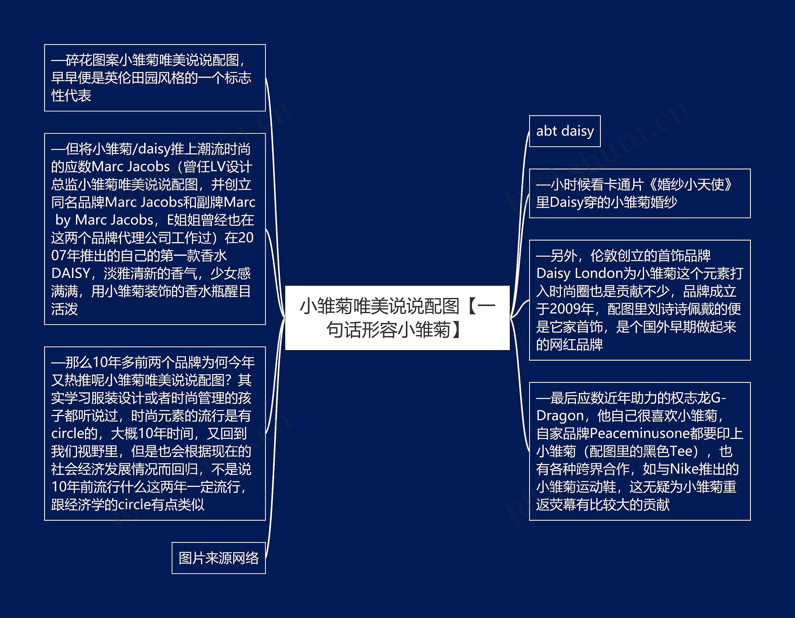 小雏菊唯美说说配图【一句话形容小雏菊】