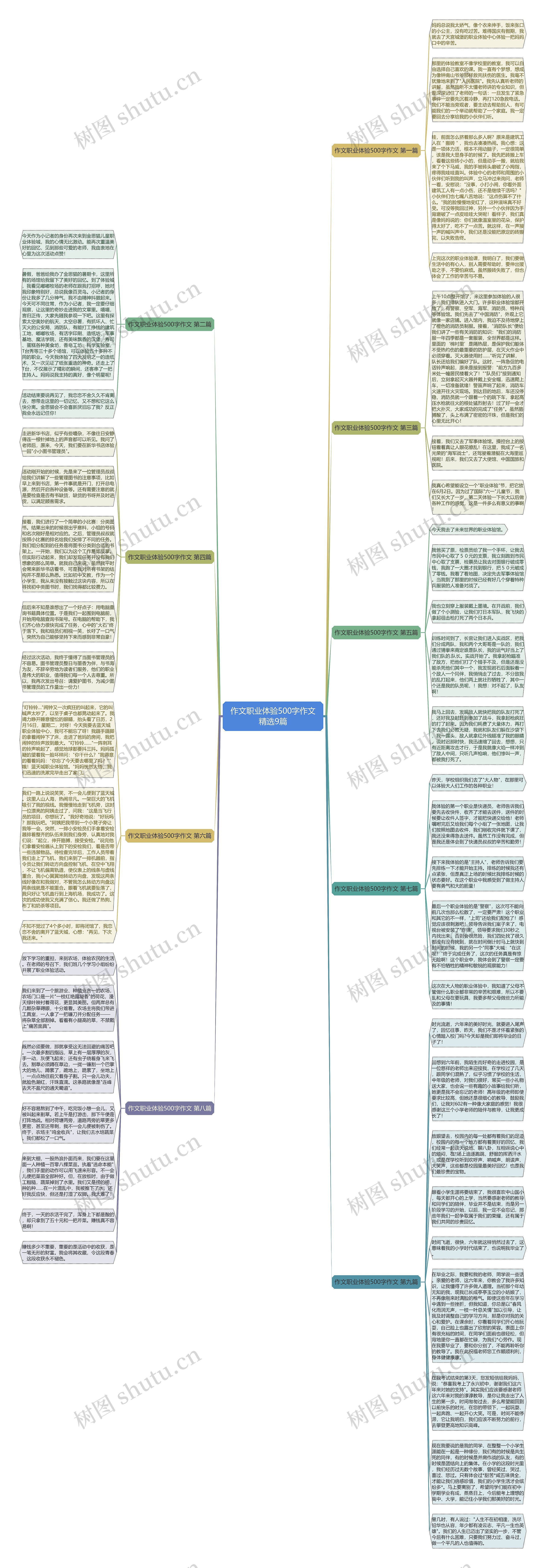 作文职业体验500字作文精选9篇