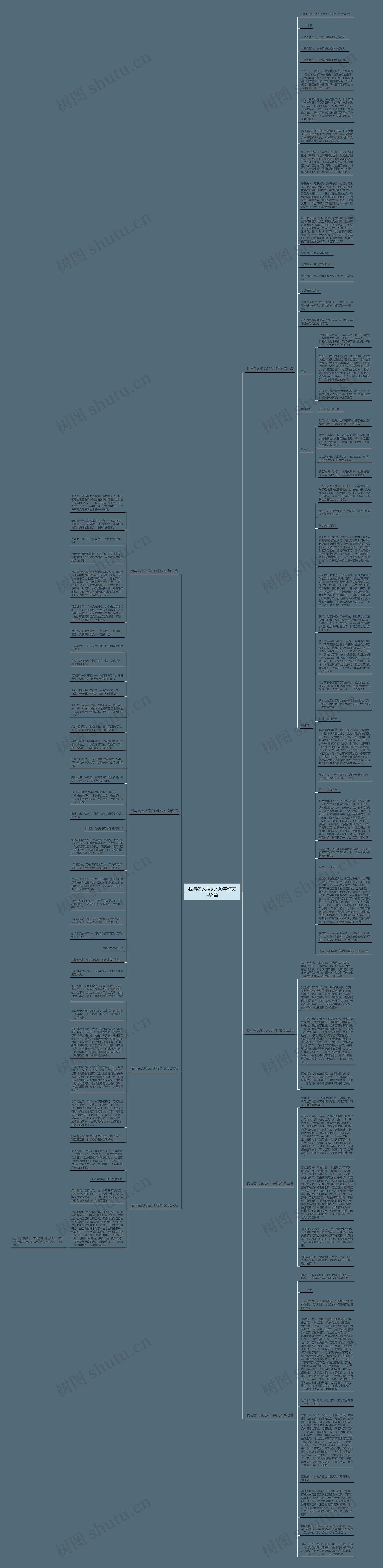 我与名人相见700字作文共8篇思维导图