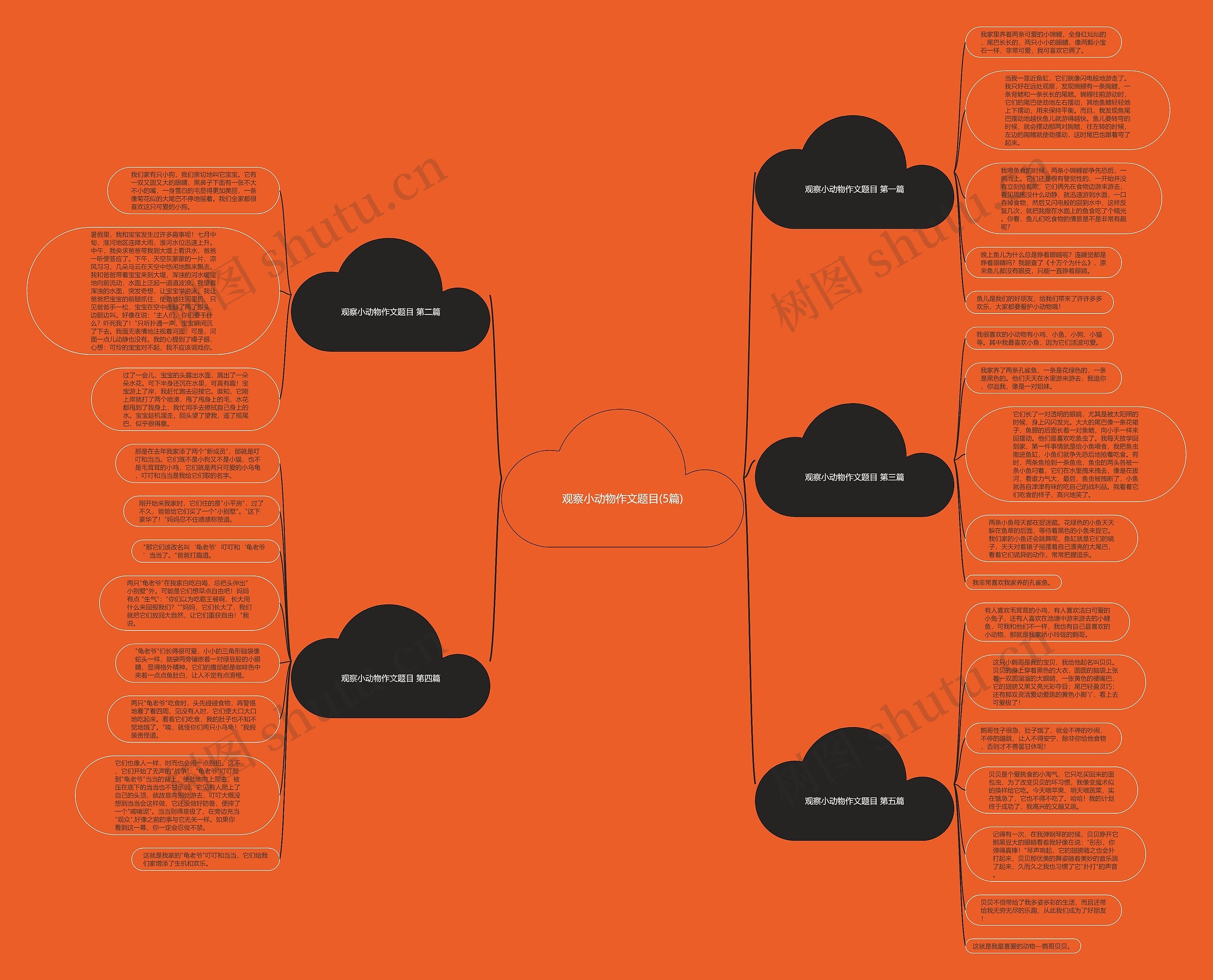 观察小动物作文题目(5篇)思维导图高清图 观察小动物作文题目(5篇)思维导图