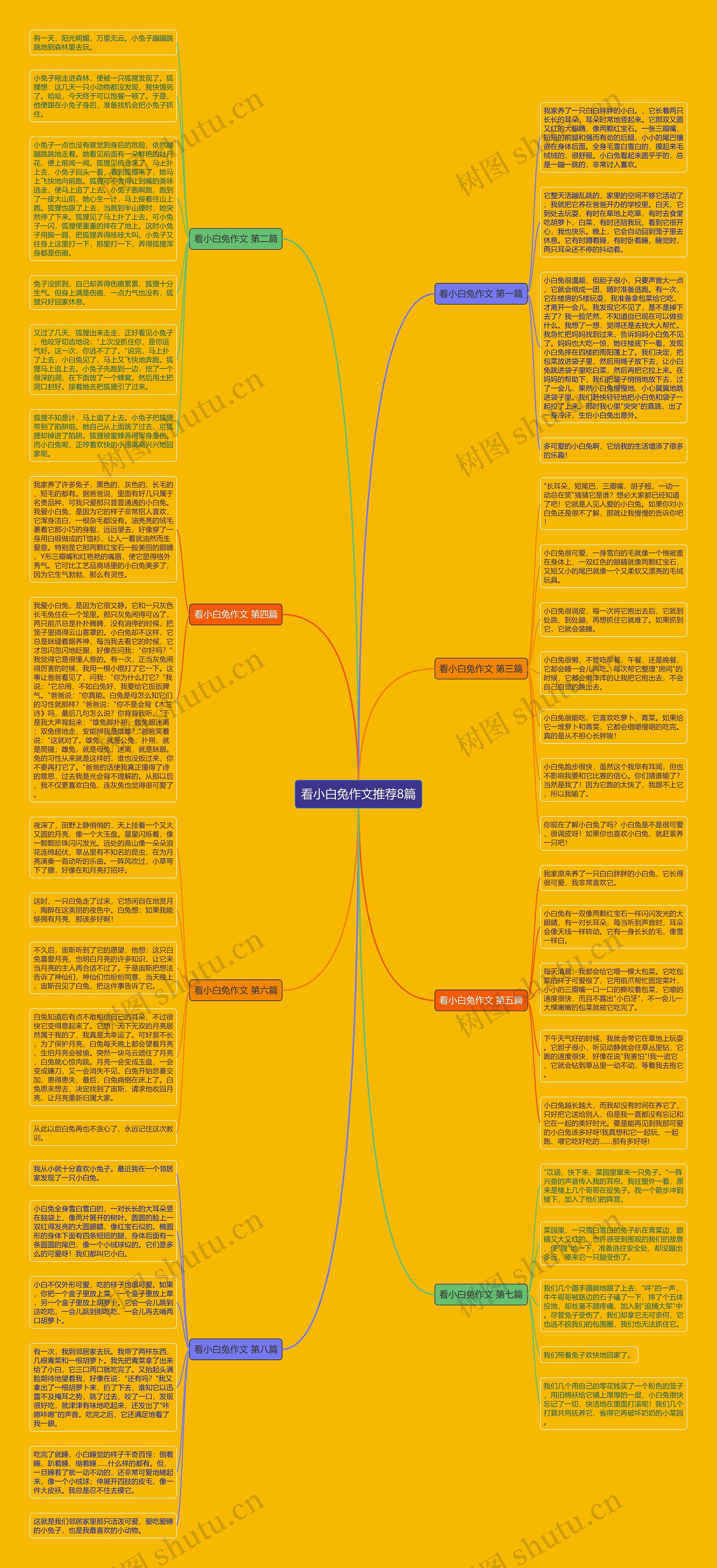 看小白兔作文推荐8篇思维导图