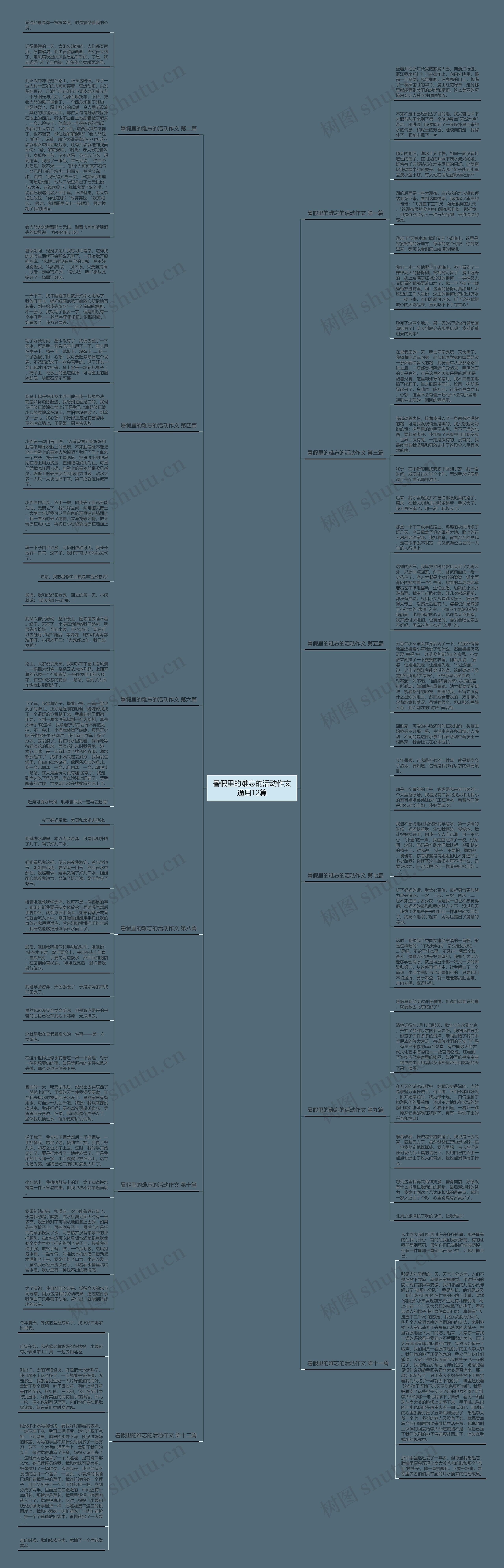 暑假里的难忘的活动作文通用12篇思维导图