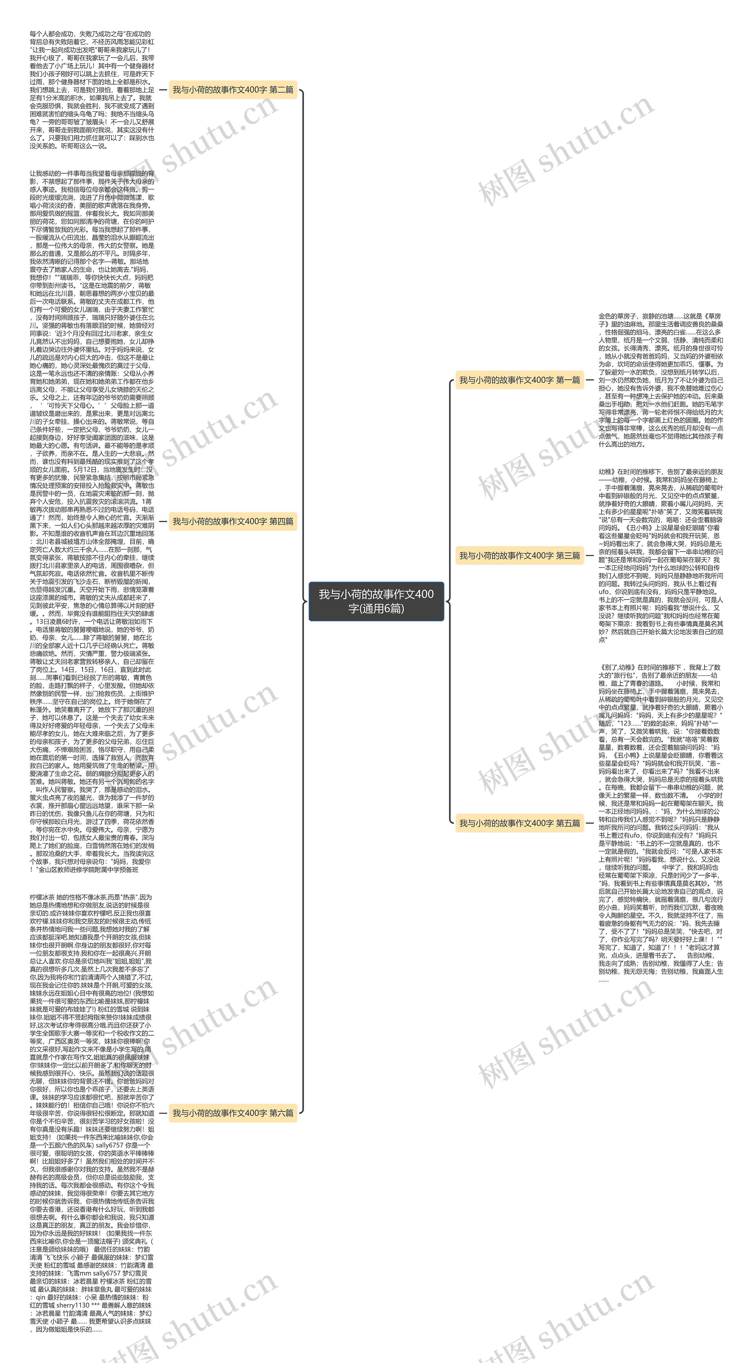 我与小荷的故事作文400字(通用6篇)思维导图
