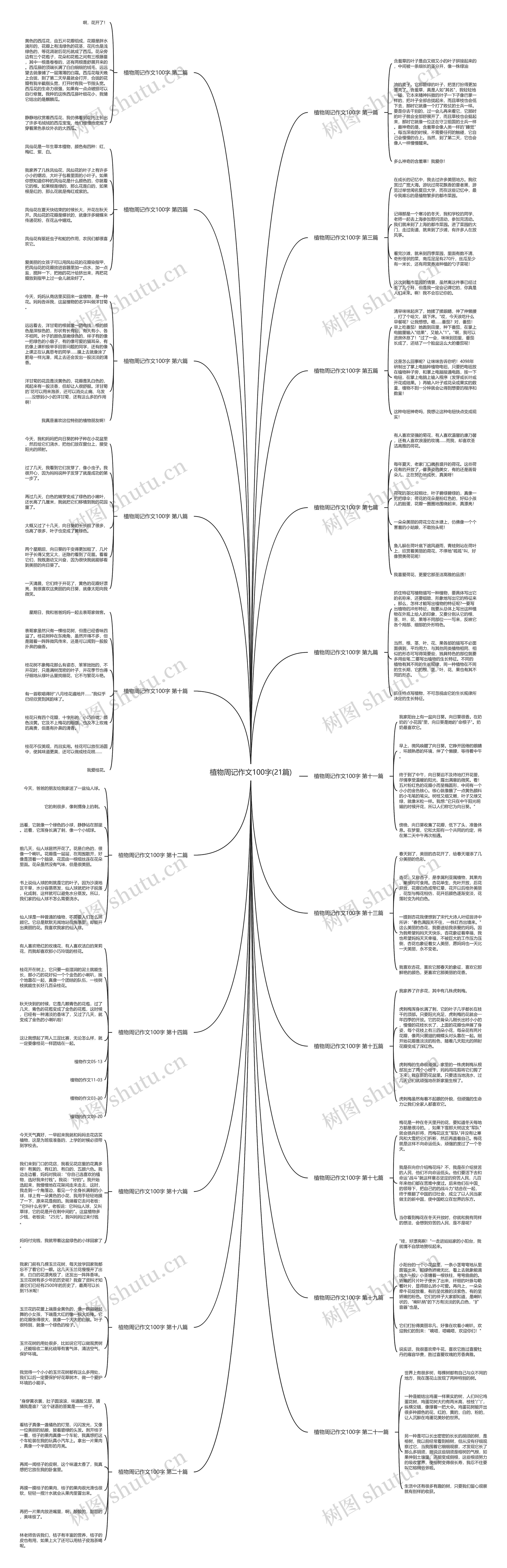 植物周记作文100字(21篇)思维导图