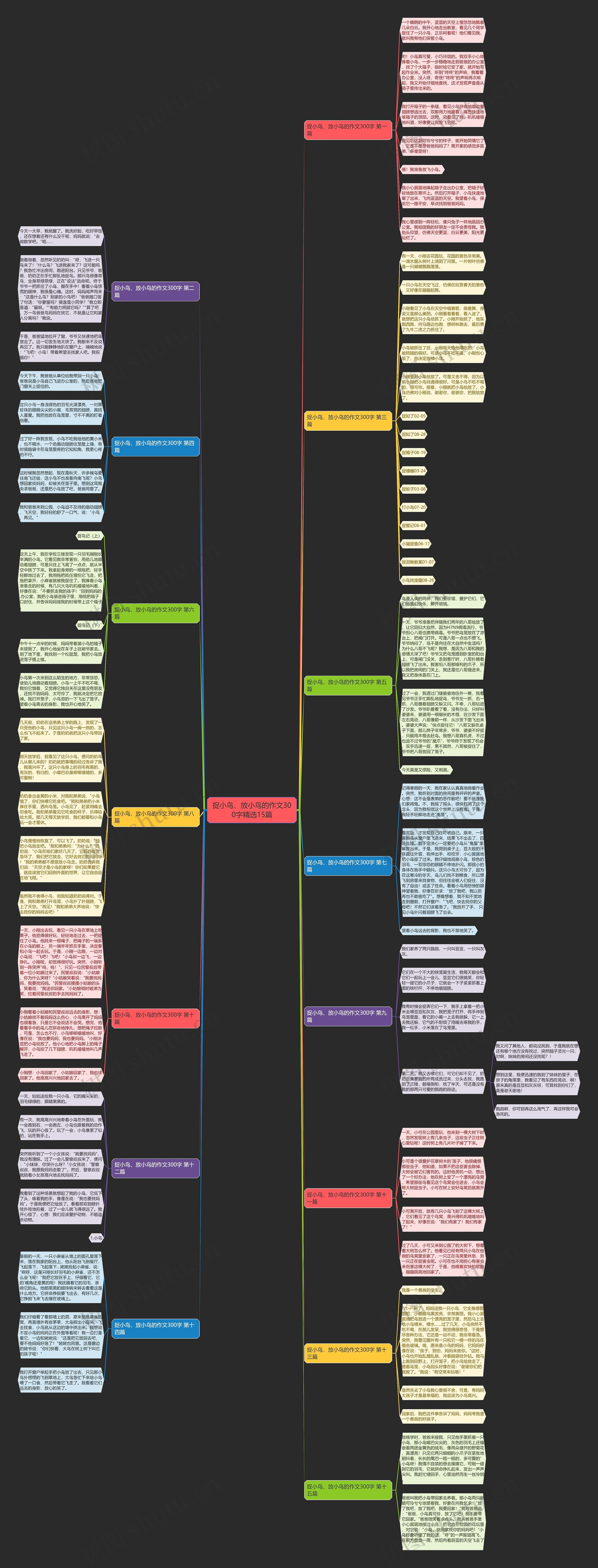 捉小鸟、放小鸟的作文300字精选15篇思维导图