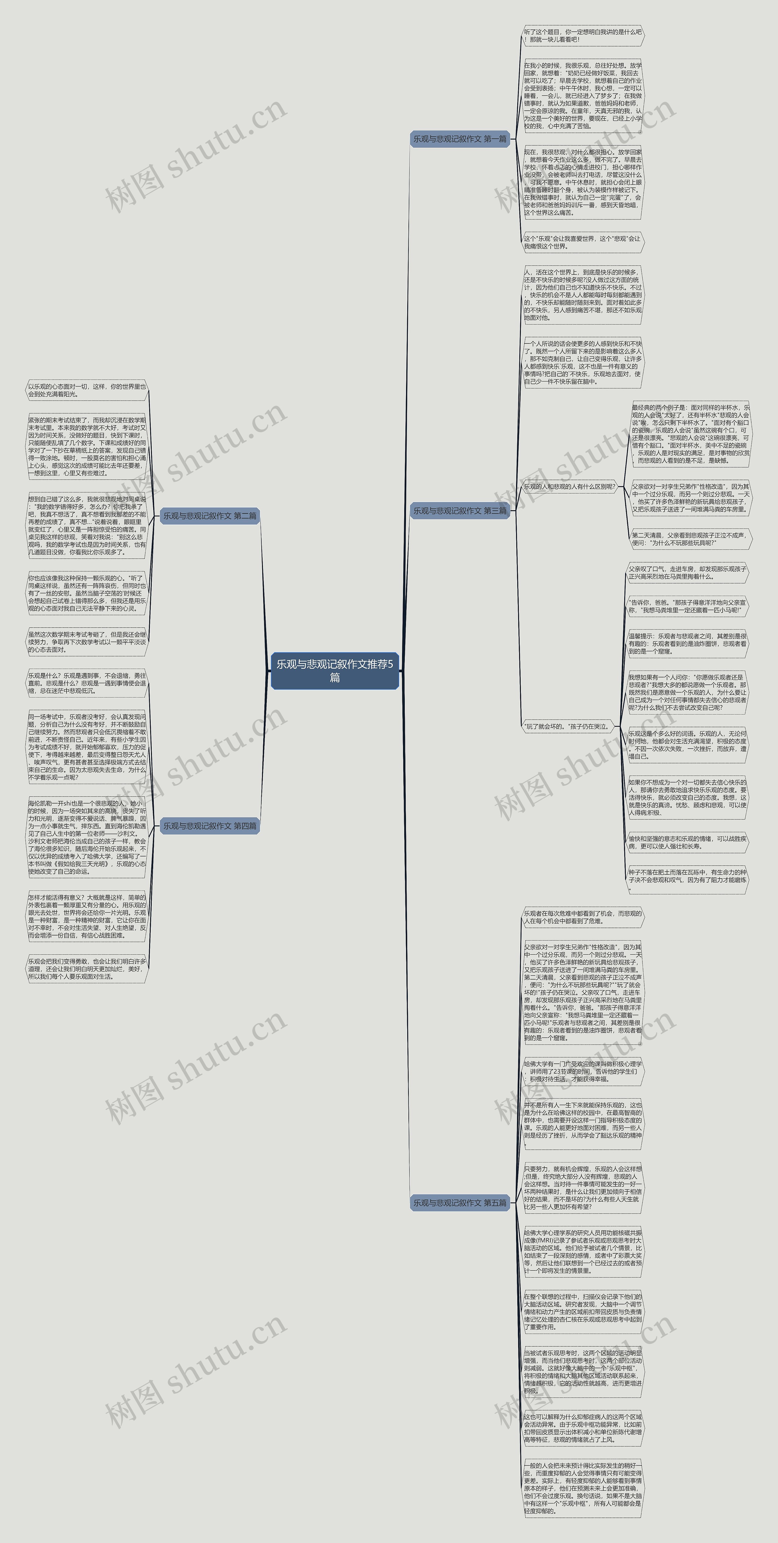 乐观与悲观记叙作文推荐5篇思维导图