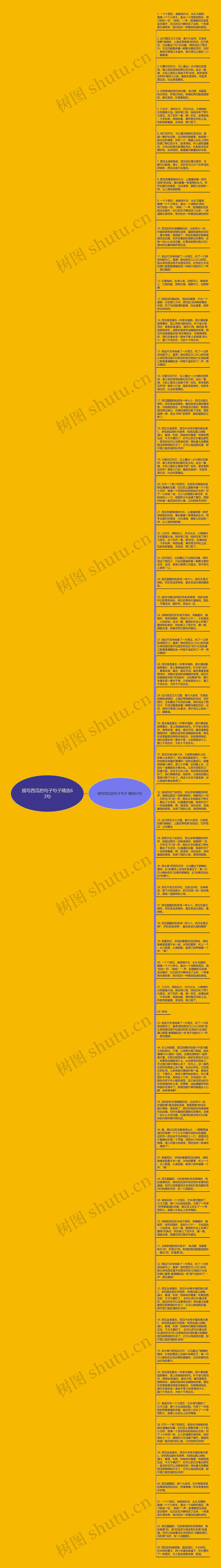 描写西瓜的句子句子精选63句