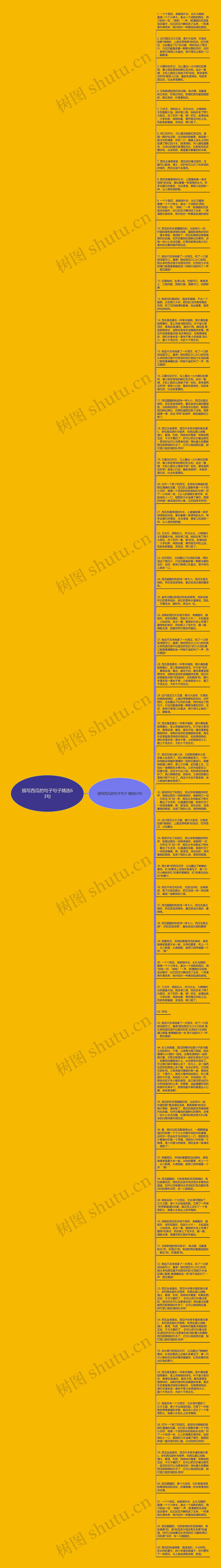 描写西瓜的句子句子精选63句