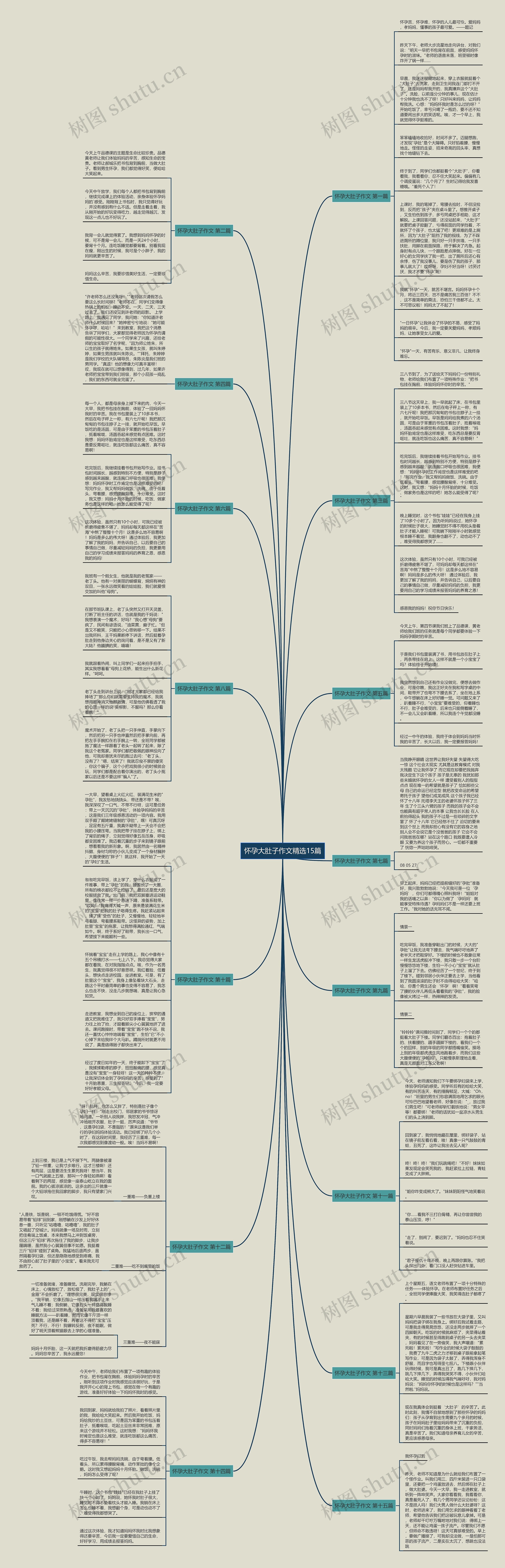 怀孕大肚子作文精选15篇思维导图