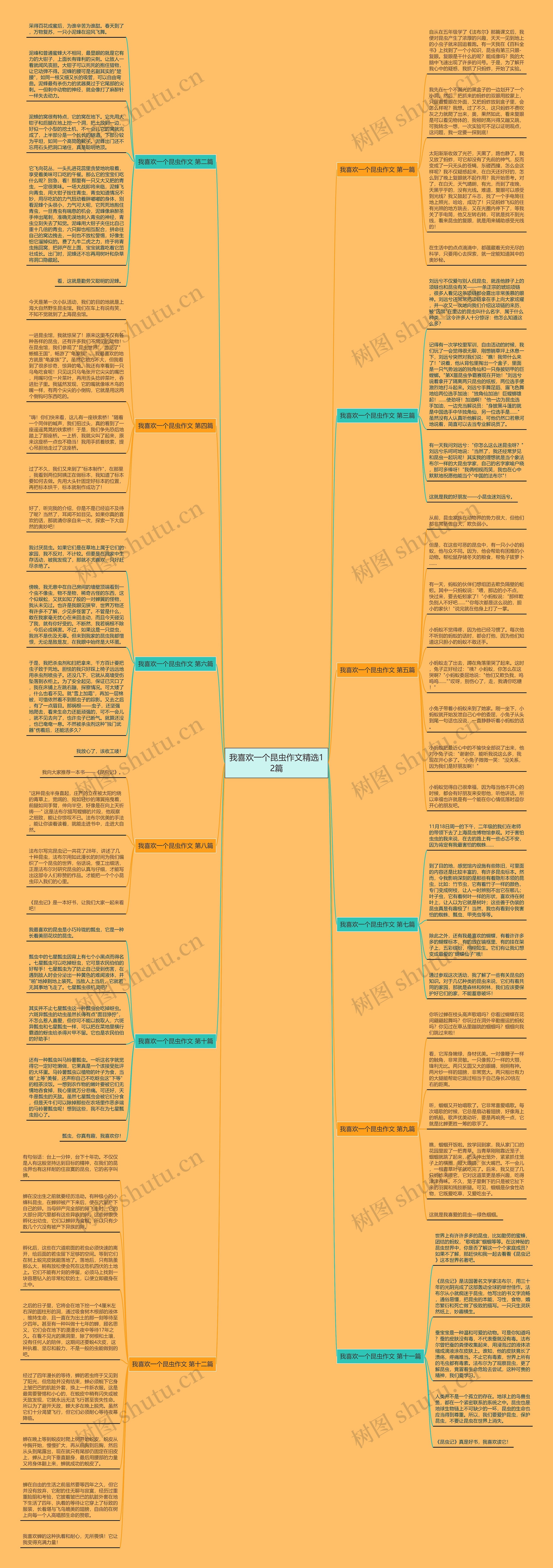 我喜欢一个昆虫作文精选12篇思维导图