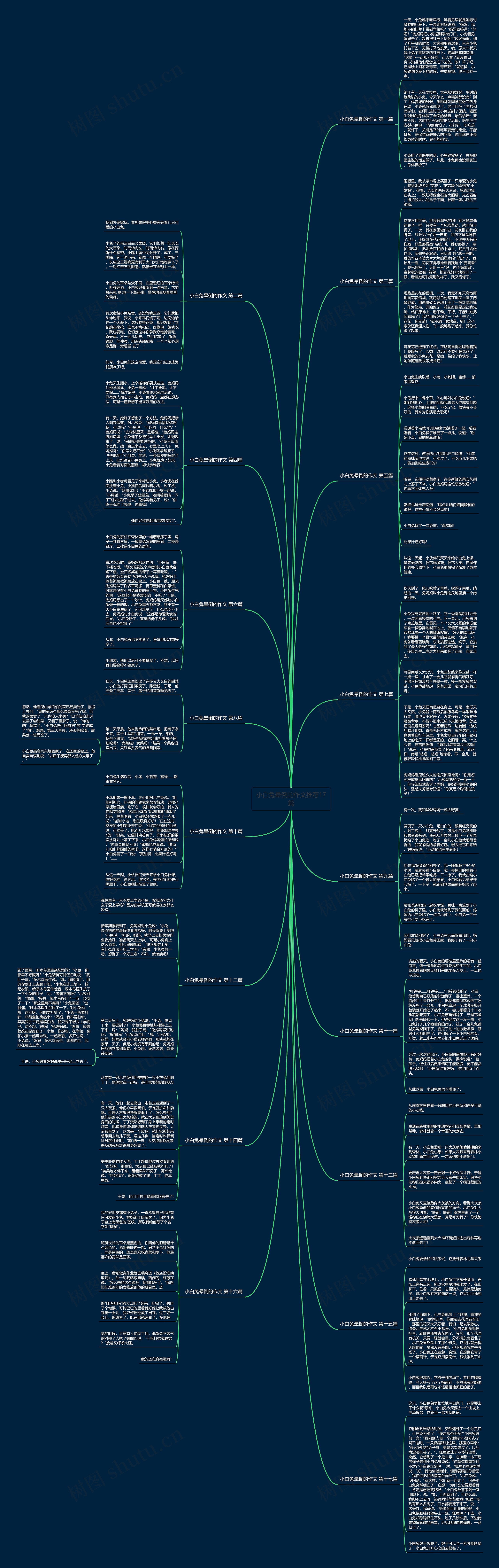 小白兔晕倒的作文推荐17篇思维导图