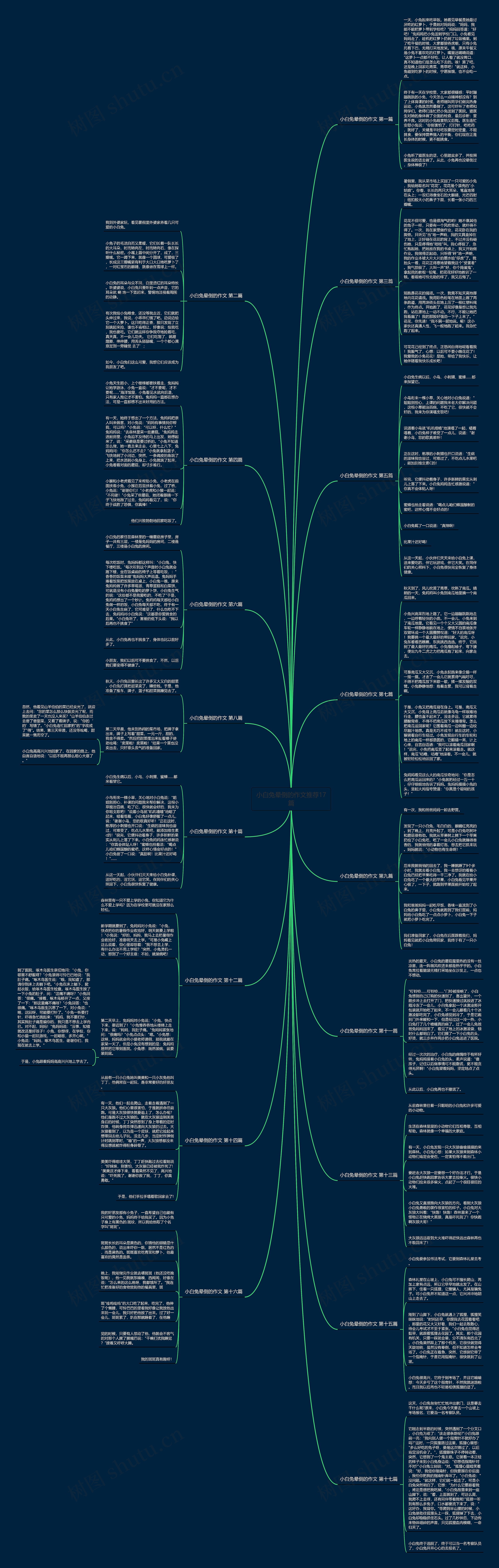 小白兔晕倒的作文推荐17篇 小白兔晕倒的作文推荐17篇