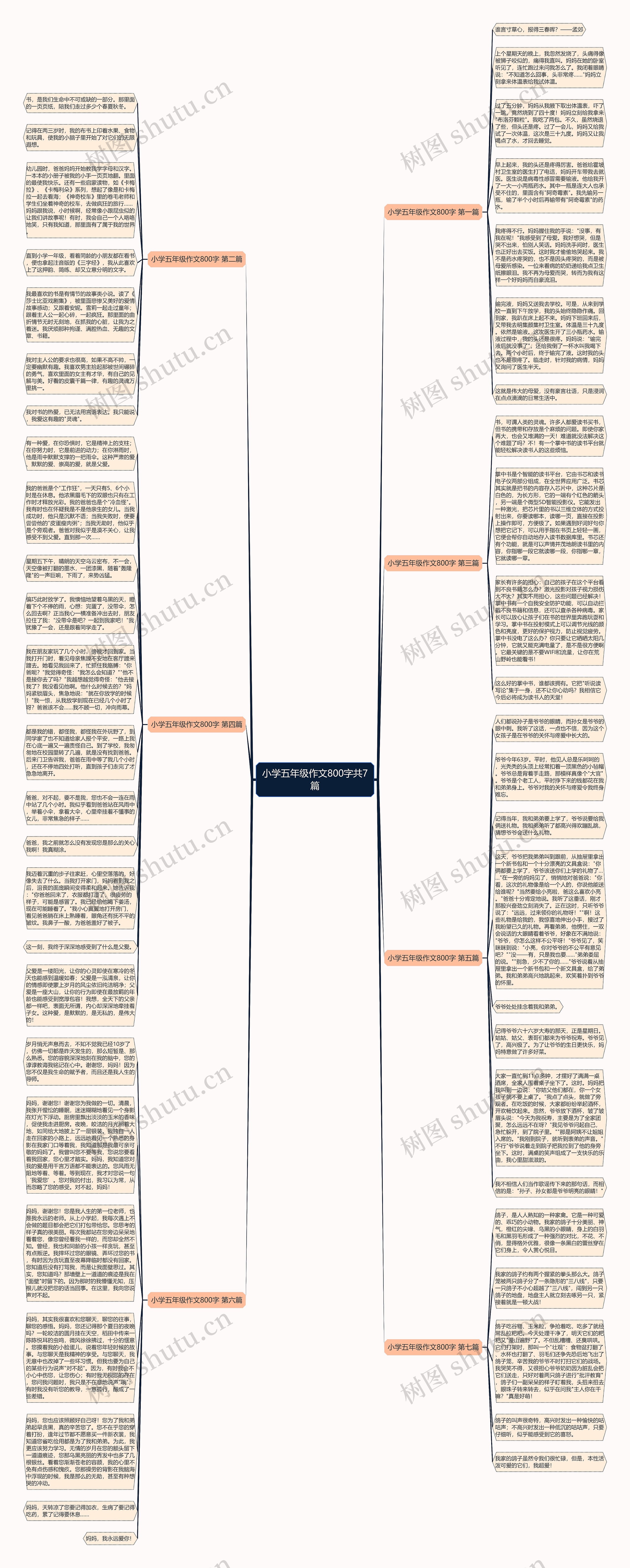 小学五年级作文800字共7篇思维导图