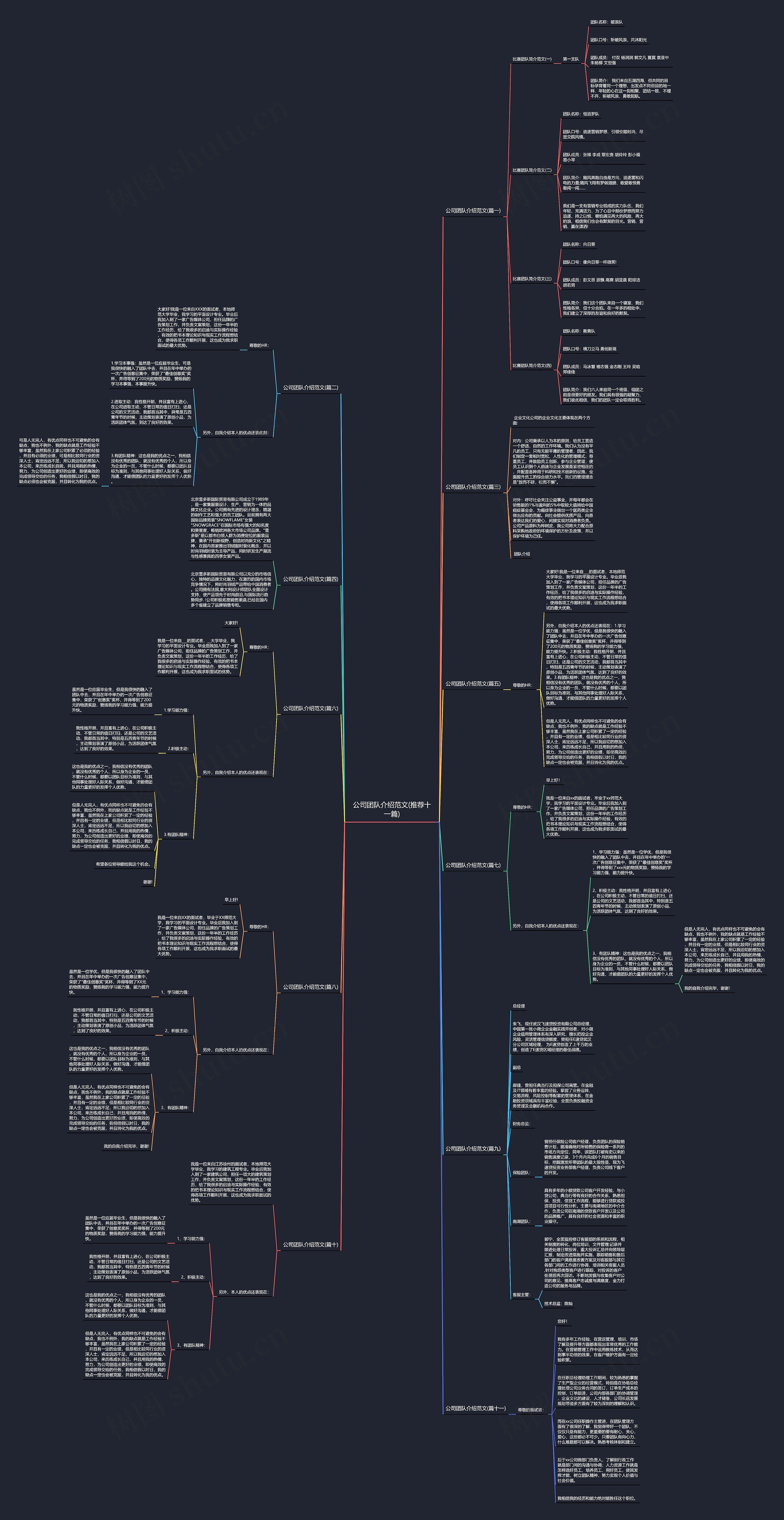公司团队介绍范文(推荐十一篇)思维导图