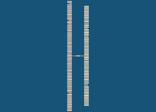 赞美偶像句子精选152句