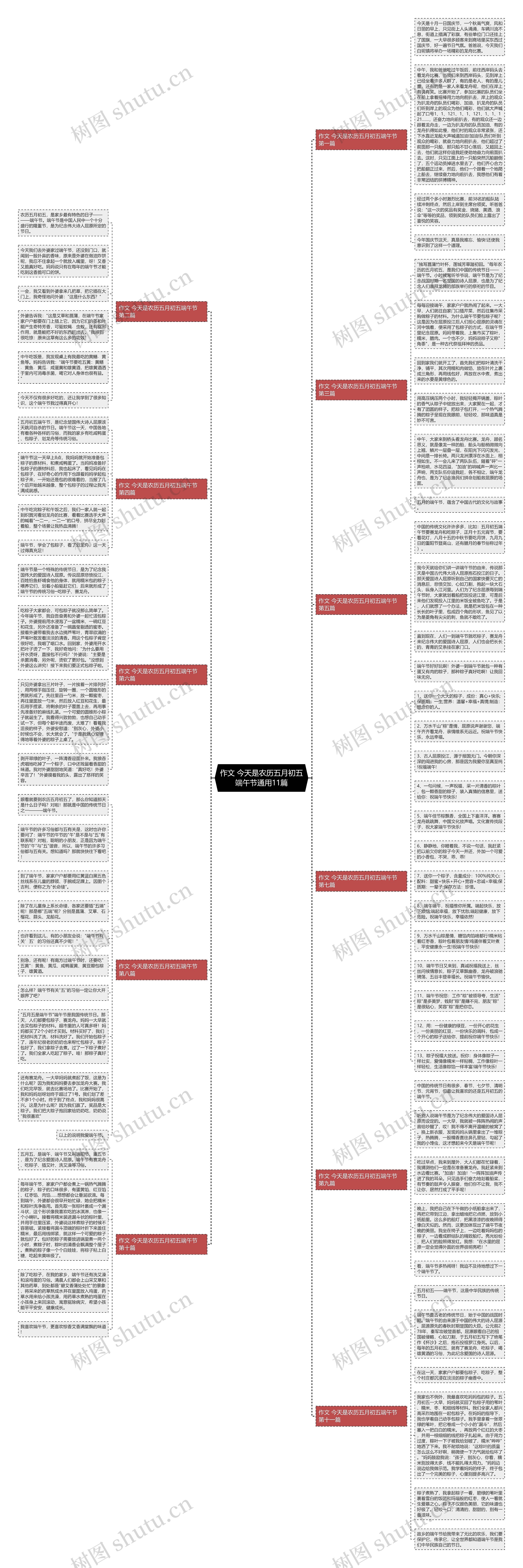 作文 今天是农历五月初五端午节通用11篇思维导图