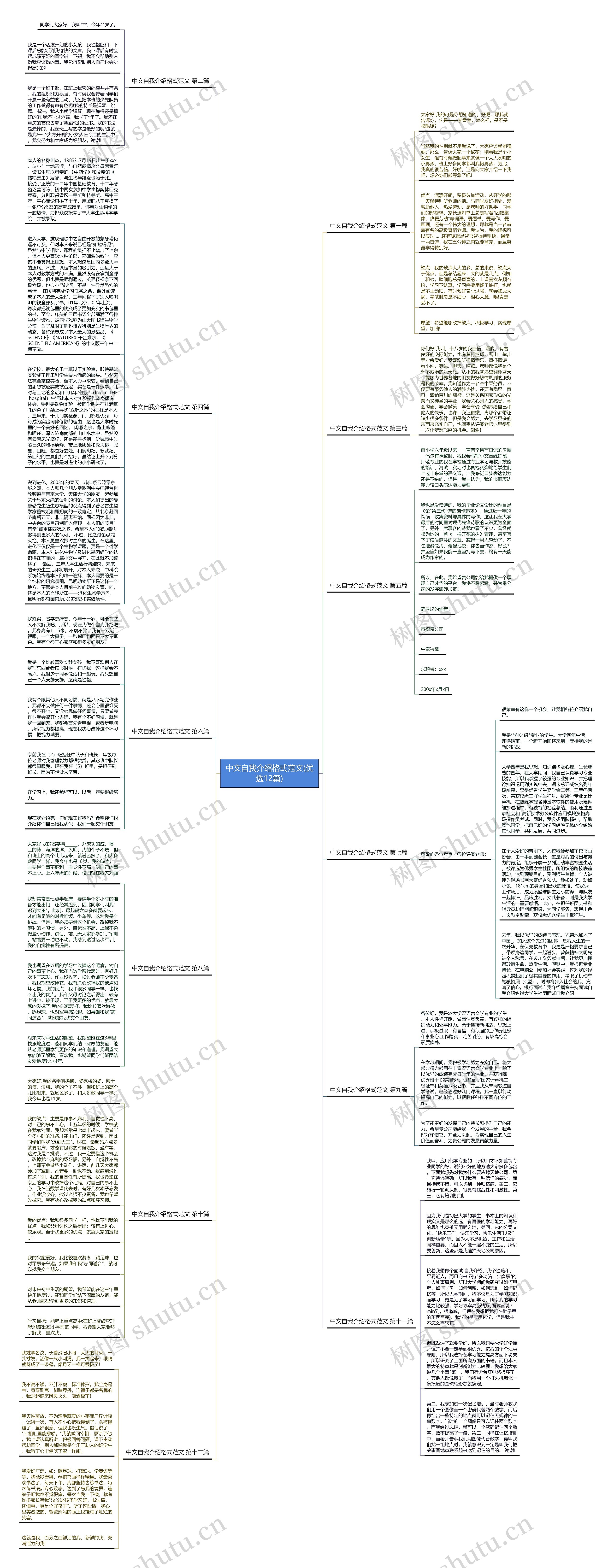 中文自我介绍格式范文(优选12篇)思维导图