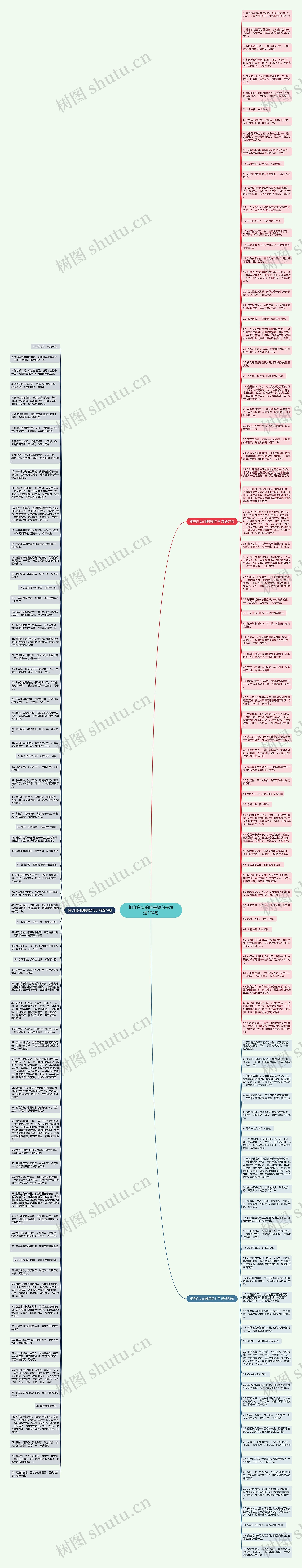 相守白头的唯美短句子精选174句思维导图