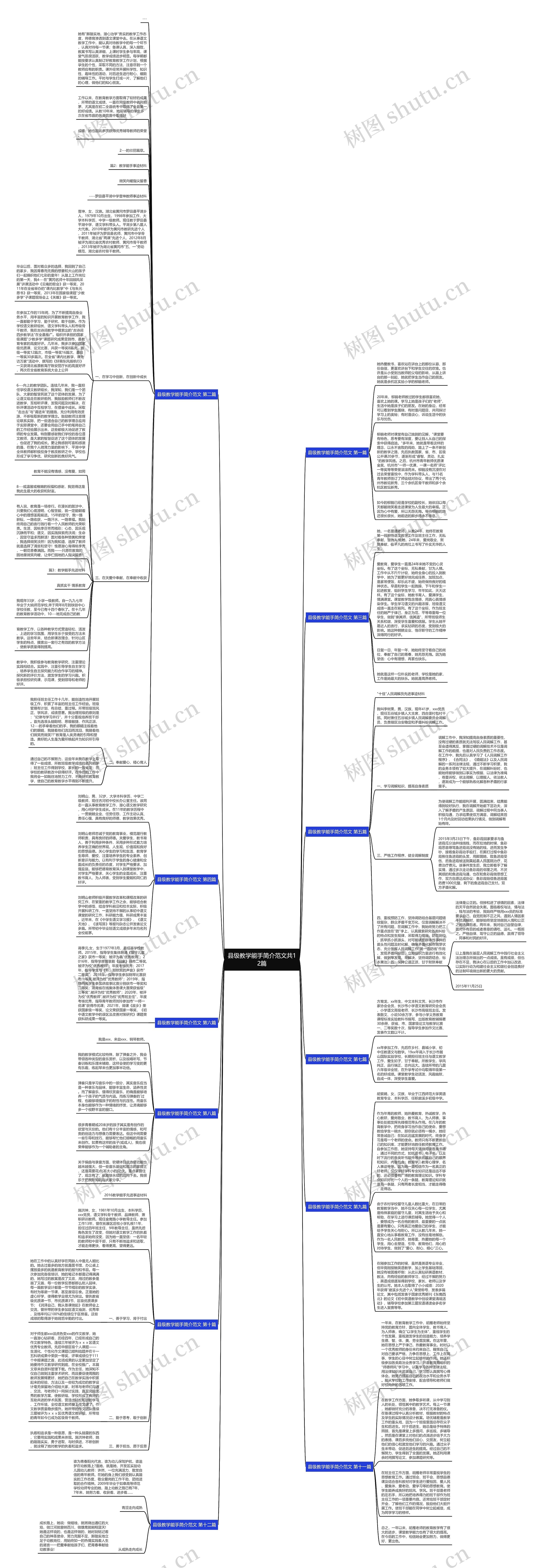 县级教学能手简介范文共12篇思维导图