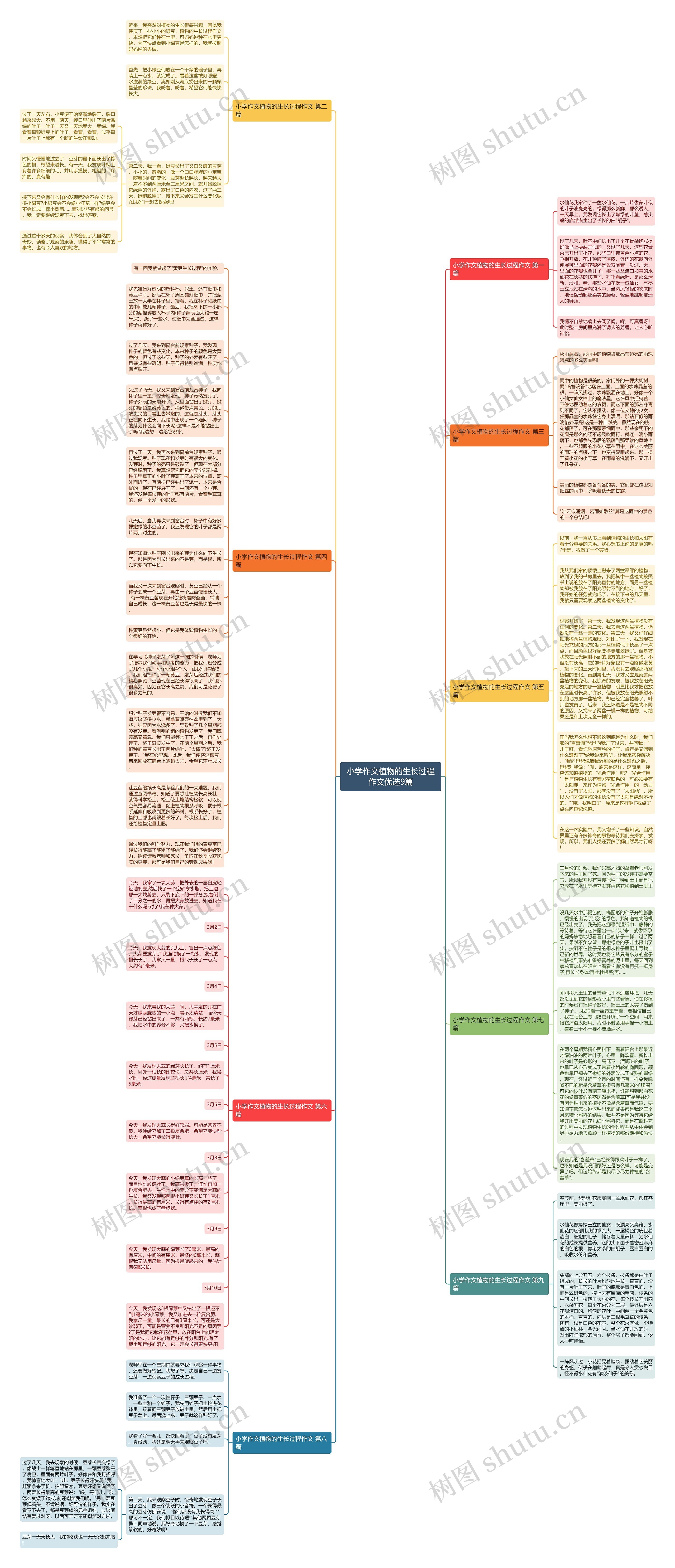 小学作文植物的生长过程作文优选9篇思维导图