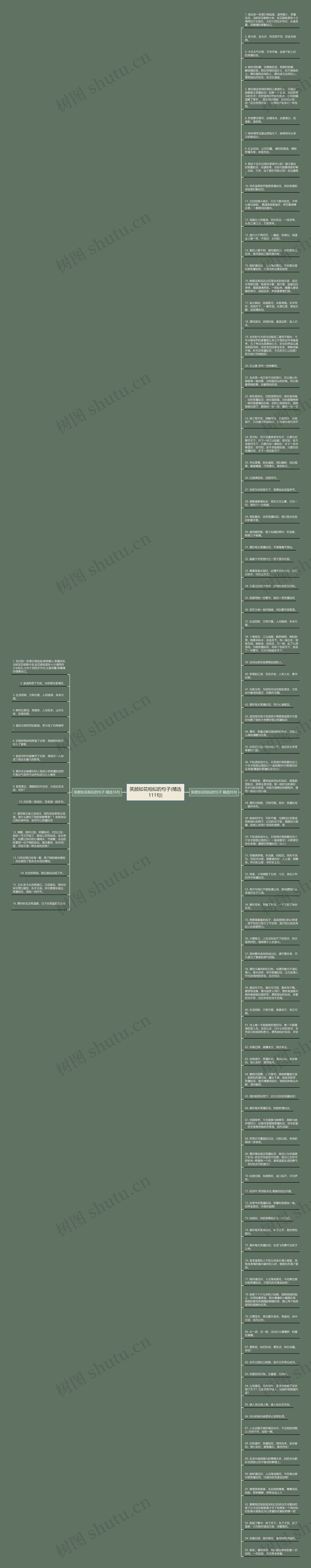 笑颜如花相似的句子(精选111句)思维导图