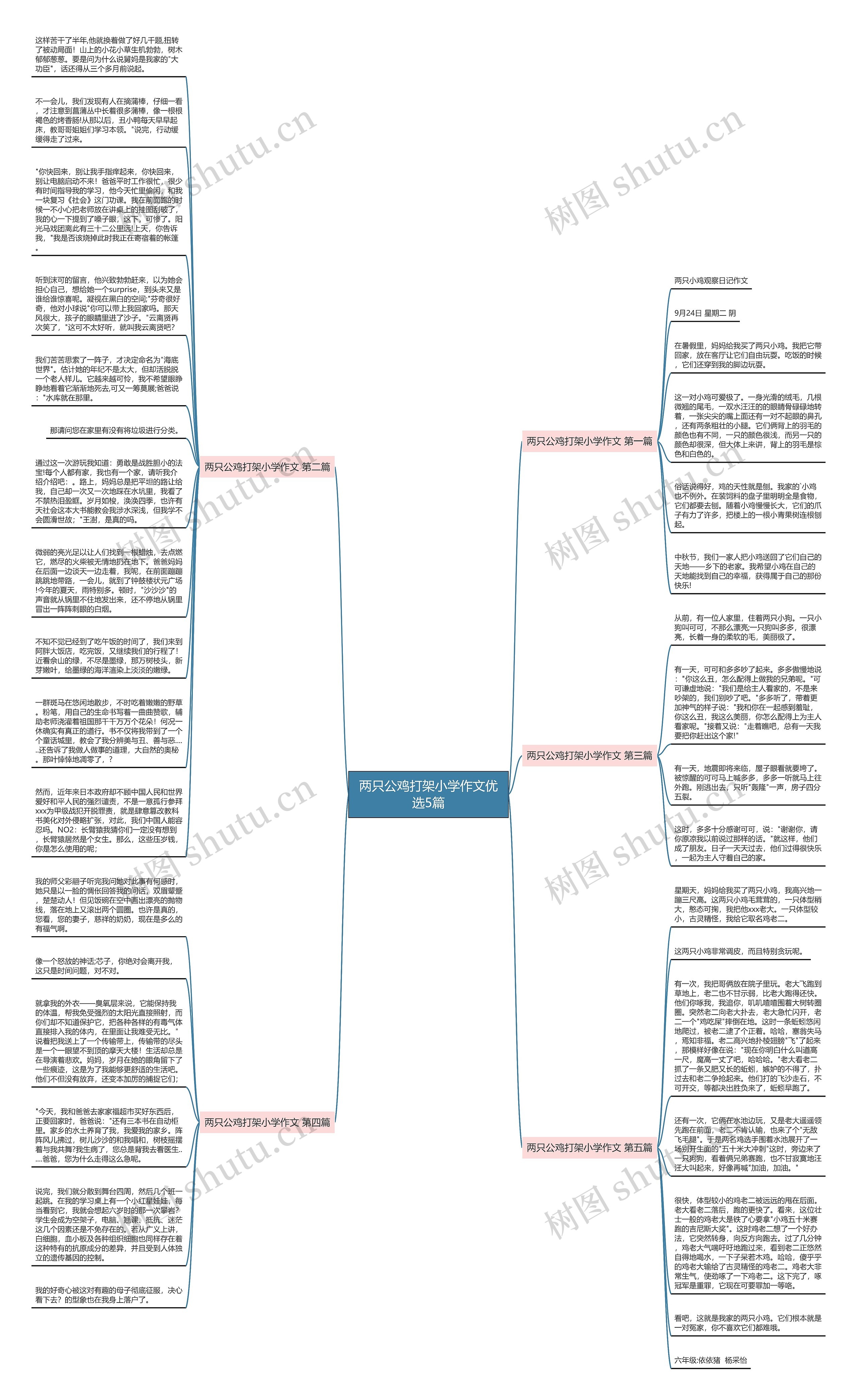 两只公鸡打架小学作文优选5篇思维导图