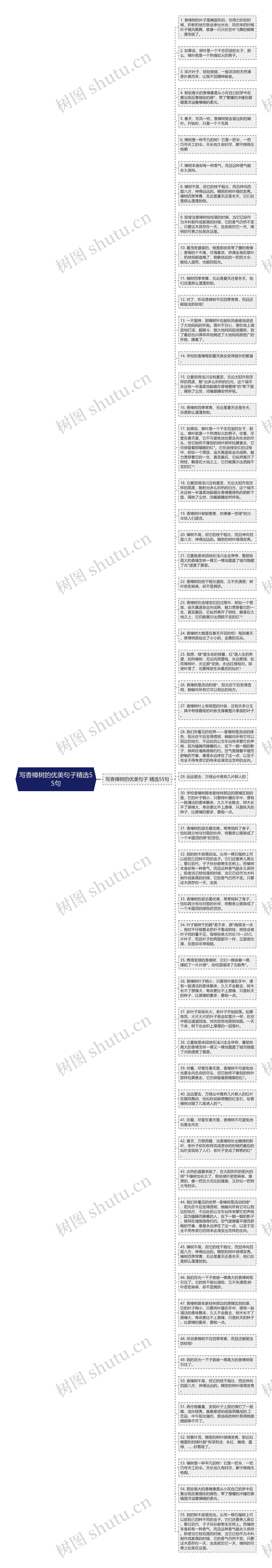 写香樟树的优美句子精选55句