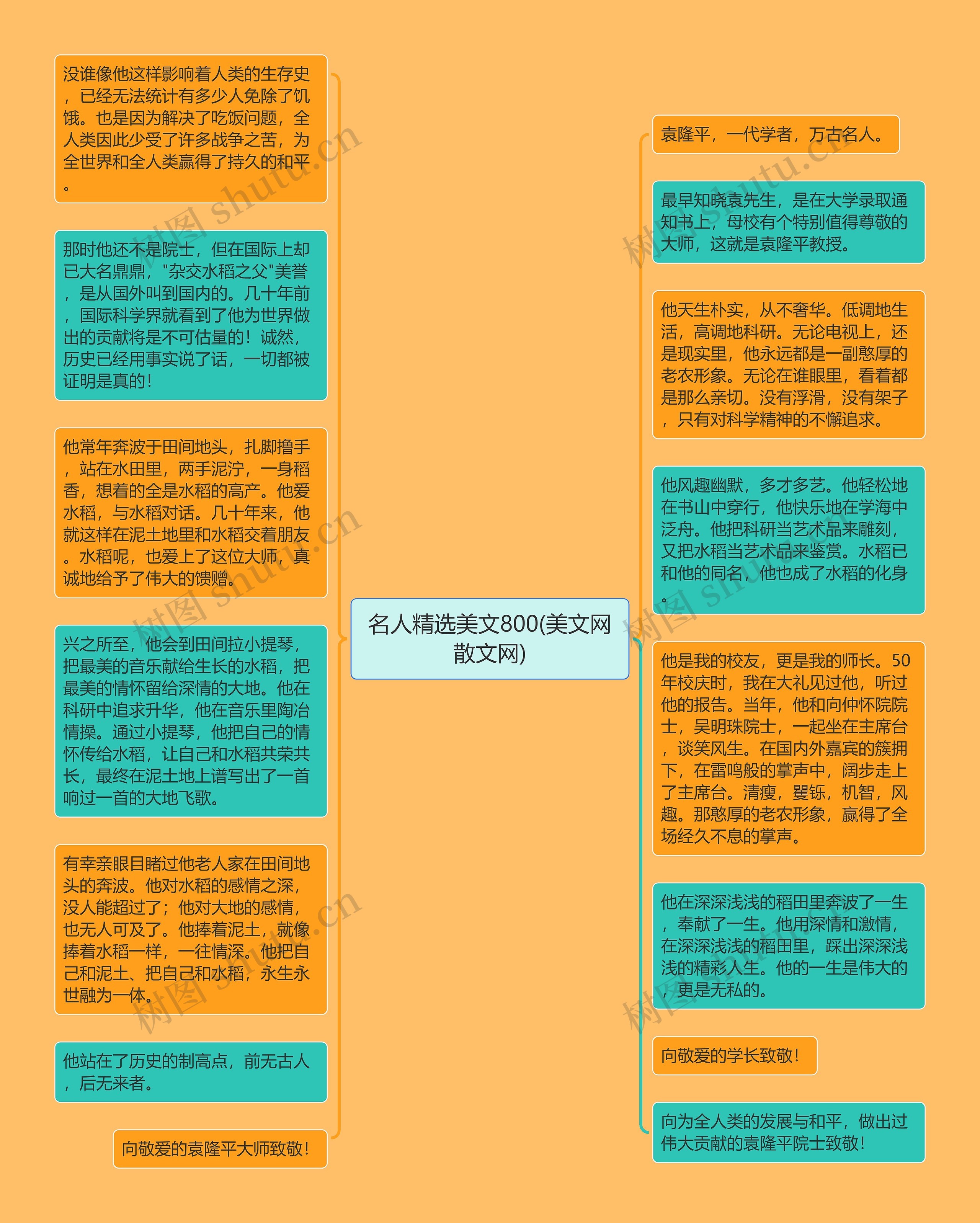 名人精选美文800(美文网散文网)思维导图