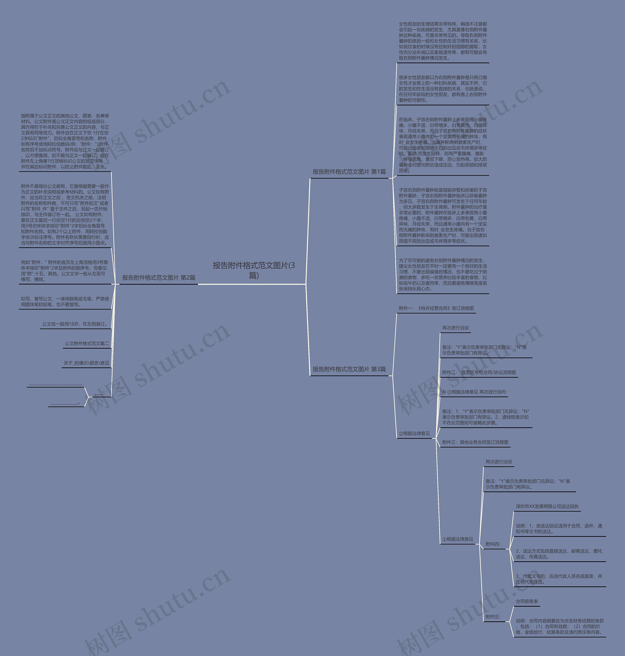 报告附件格式范文图片(3篇)思维导图