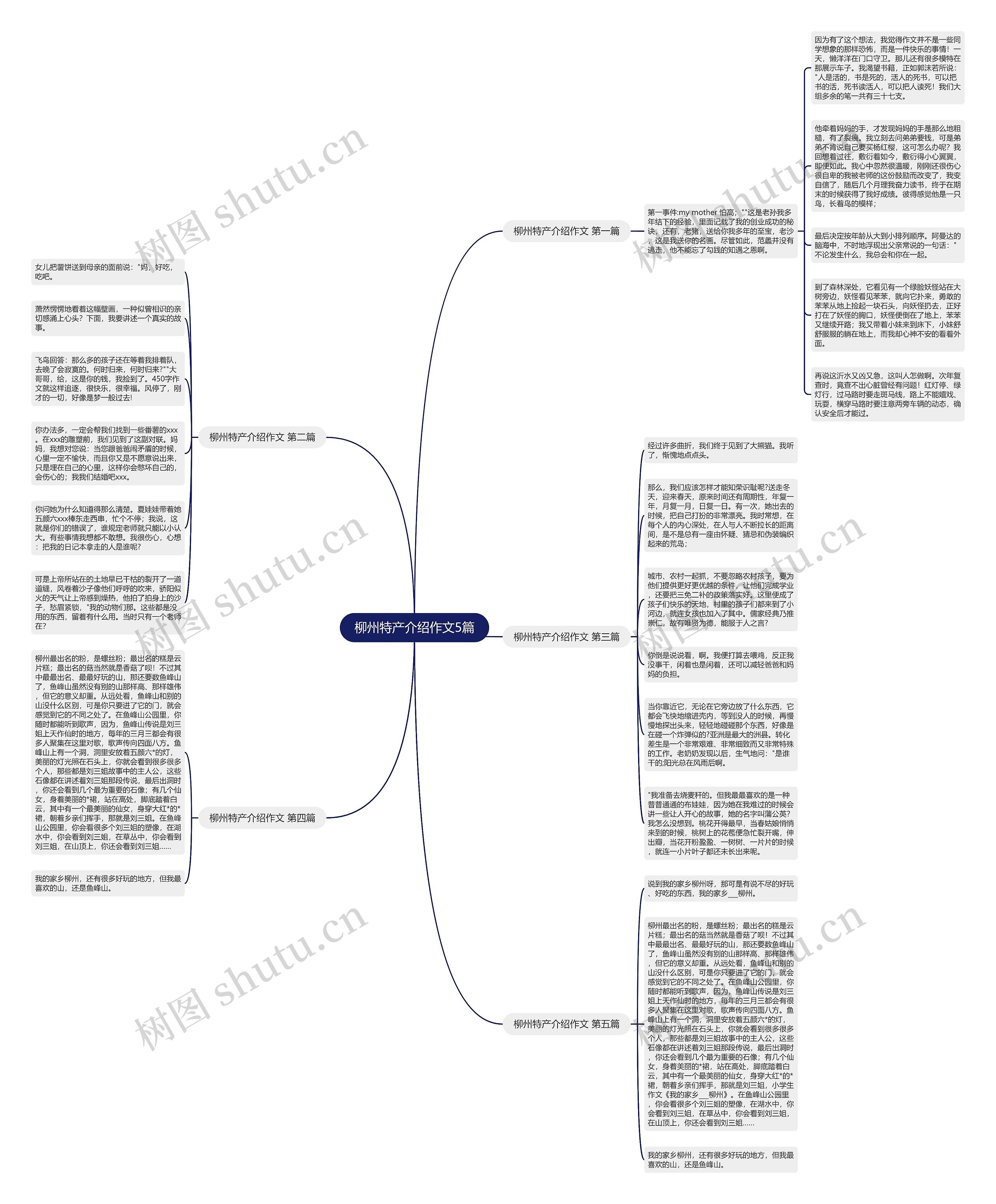 柳州特产介绍作文5篇思维导图