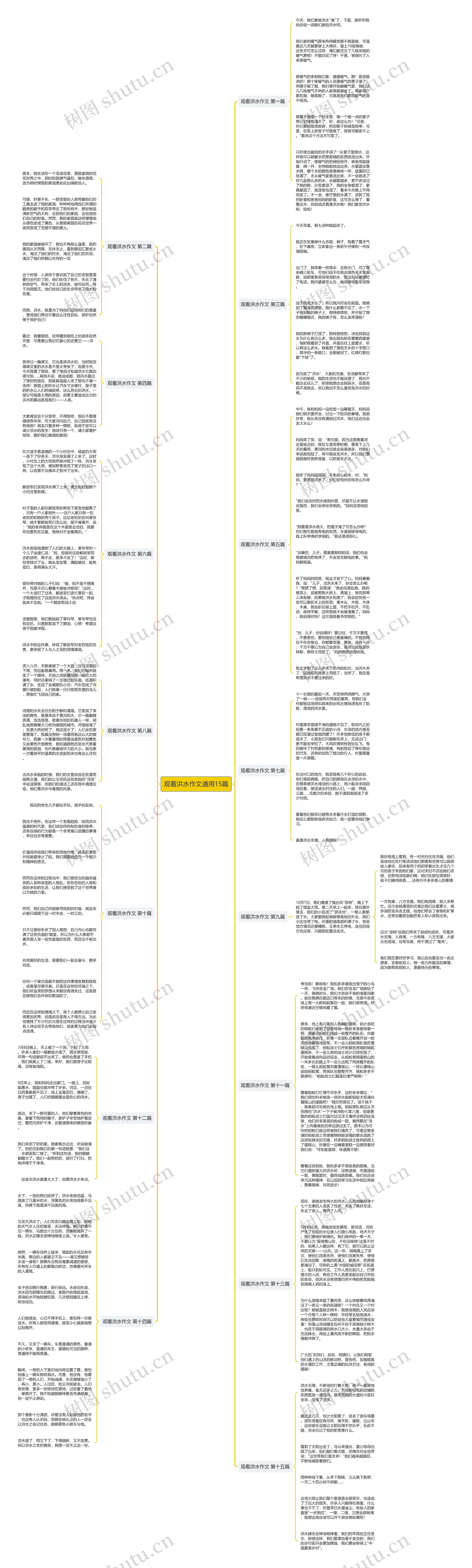 观看洪水作文通用15篇思维导图
