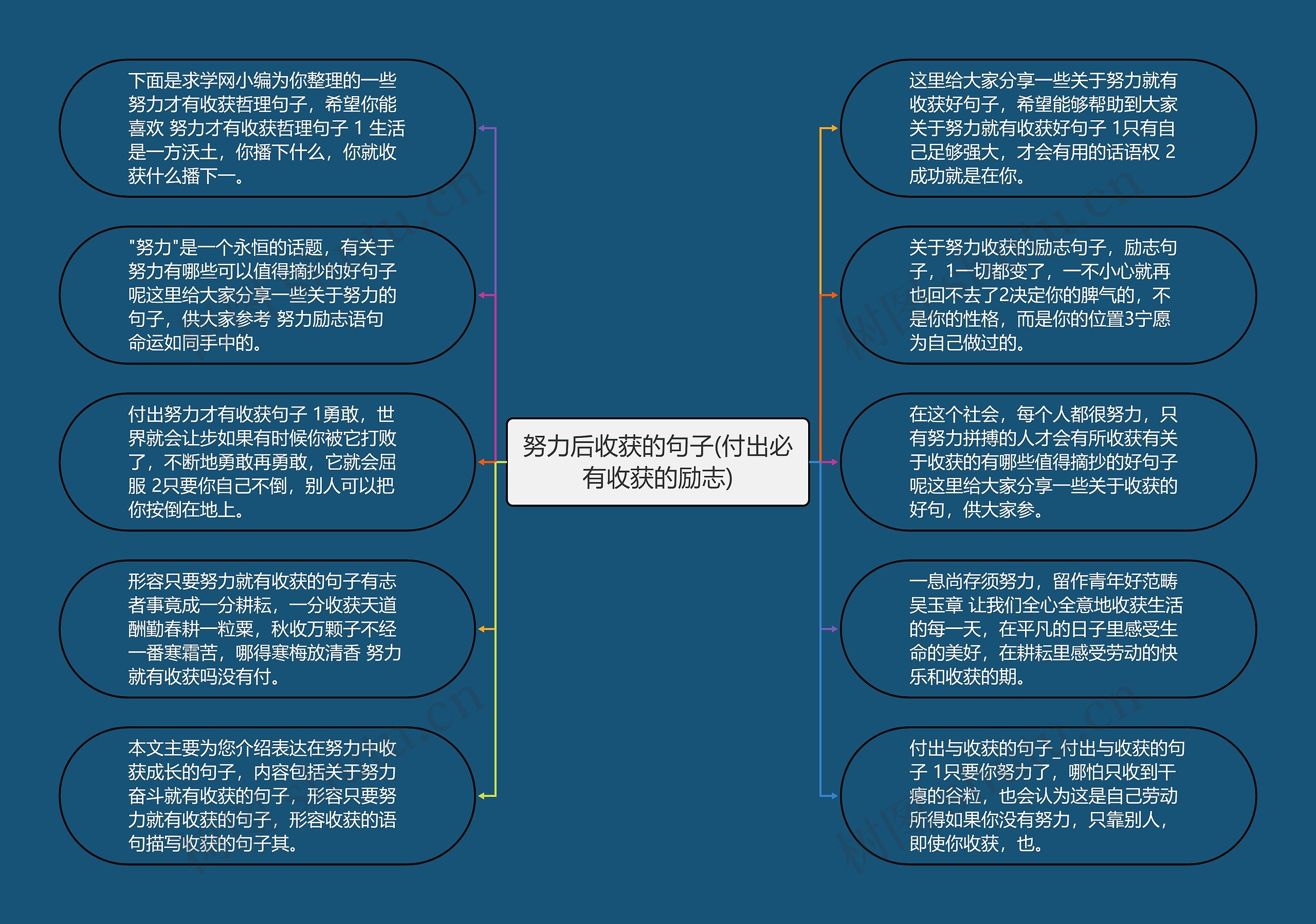 努力后收获的句子(付出必有收获的励志)