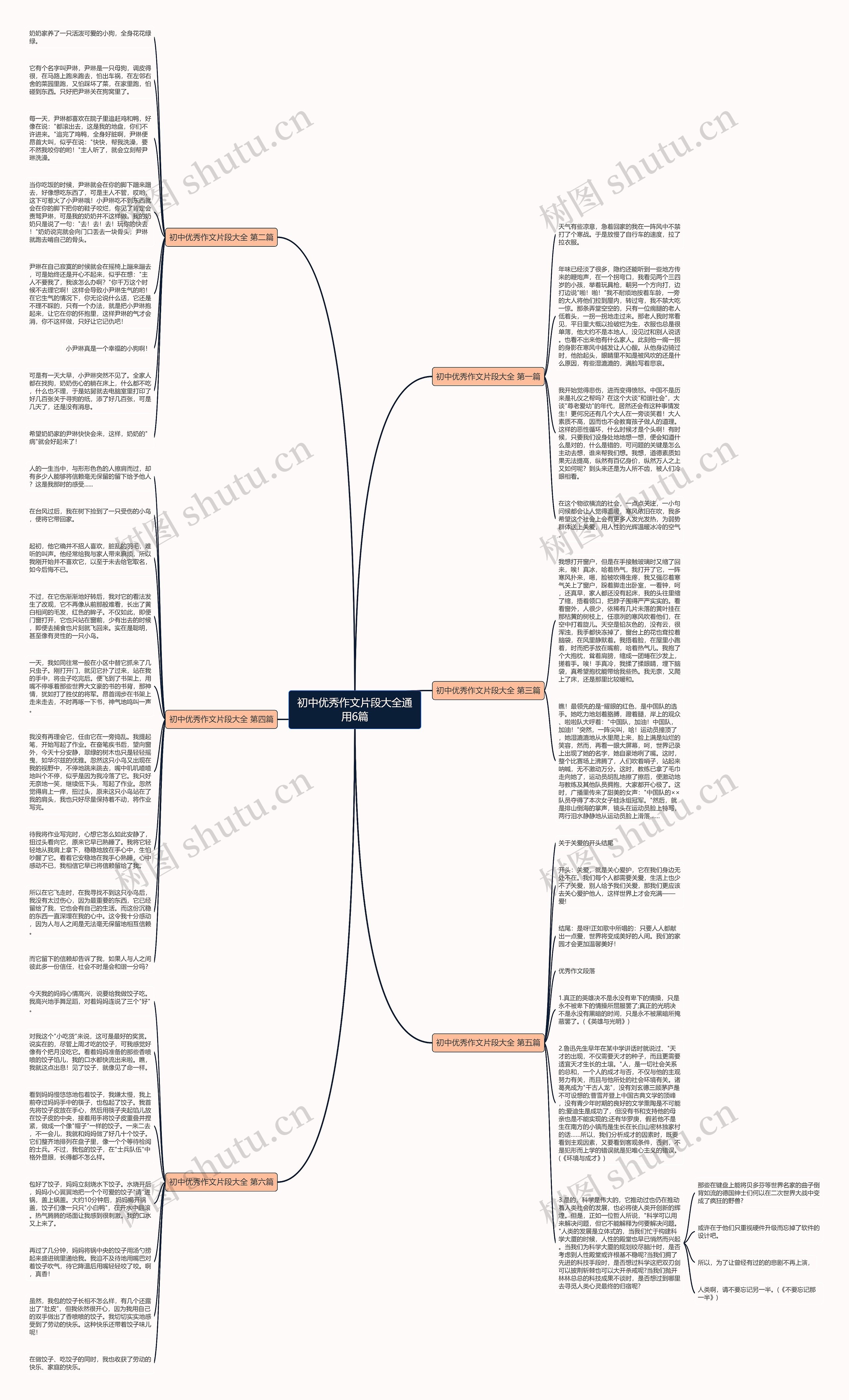 初中优秀作文片段大全通用6篇思维导图