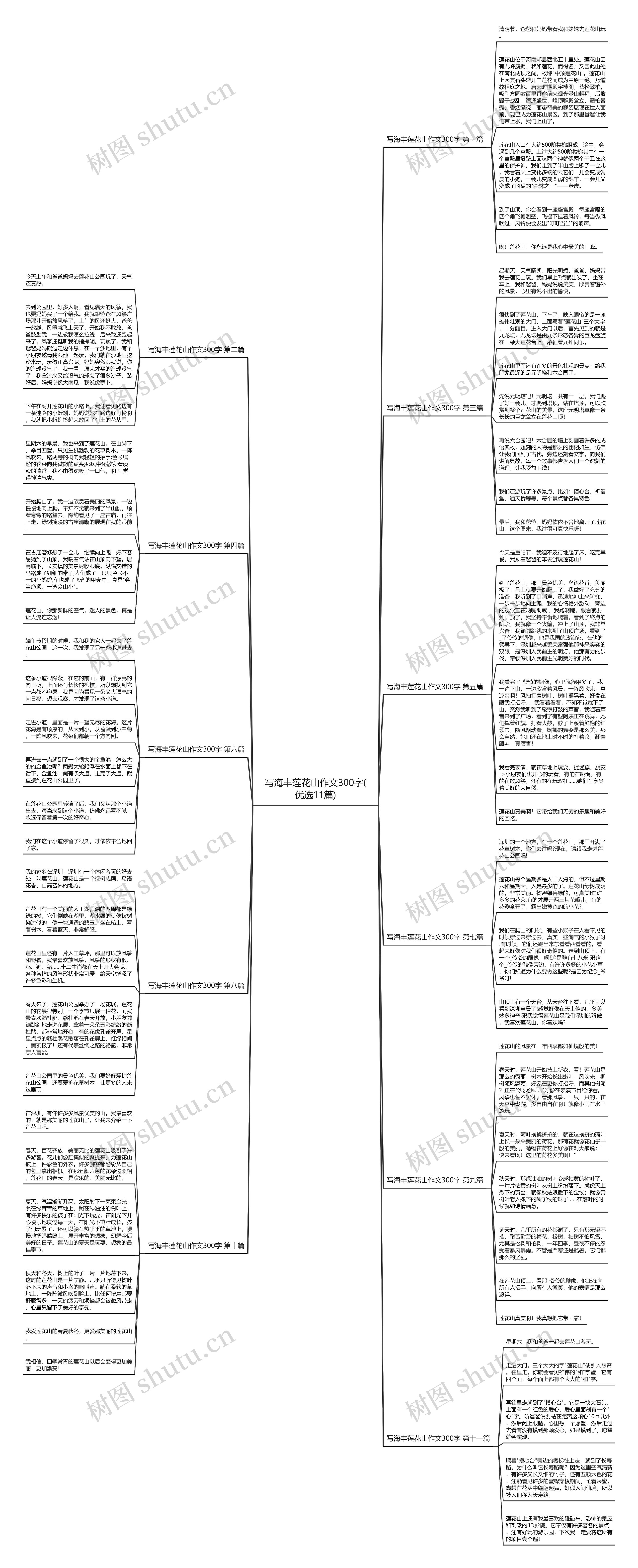 写海丰莲花山作文300字(优选11篇)思维导图