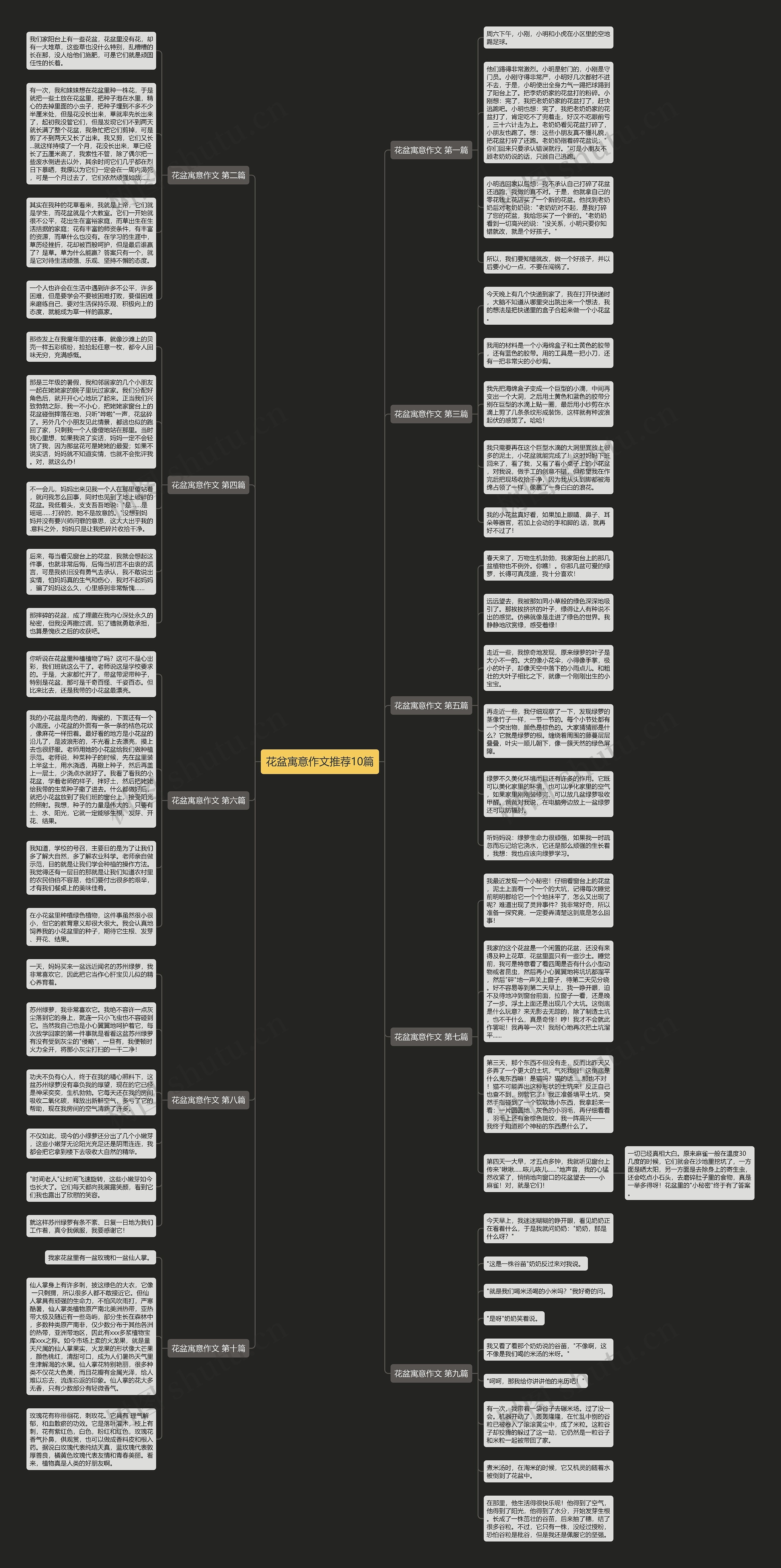 花盆寓意作文推荐10篇思维导图