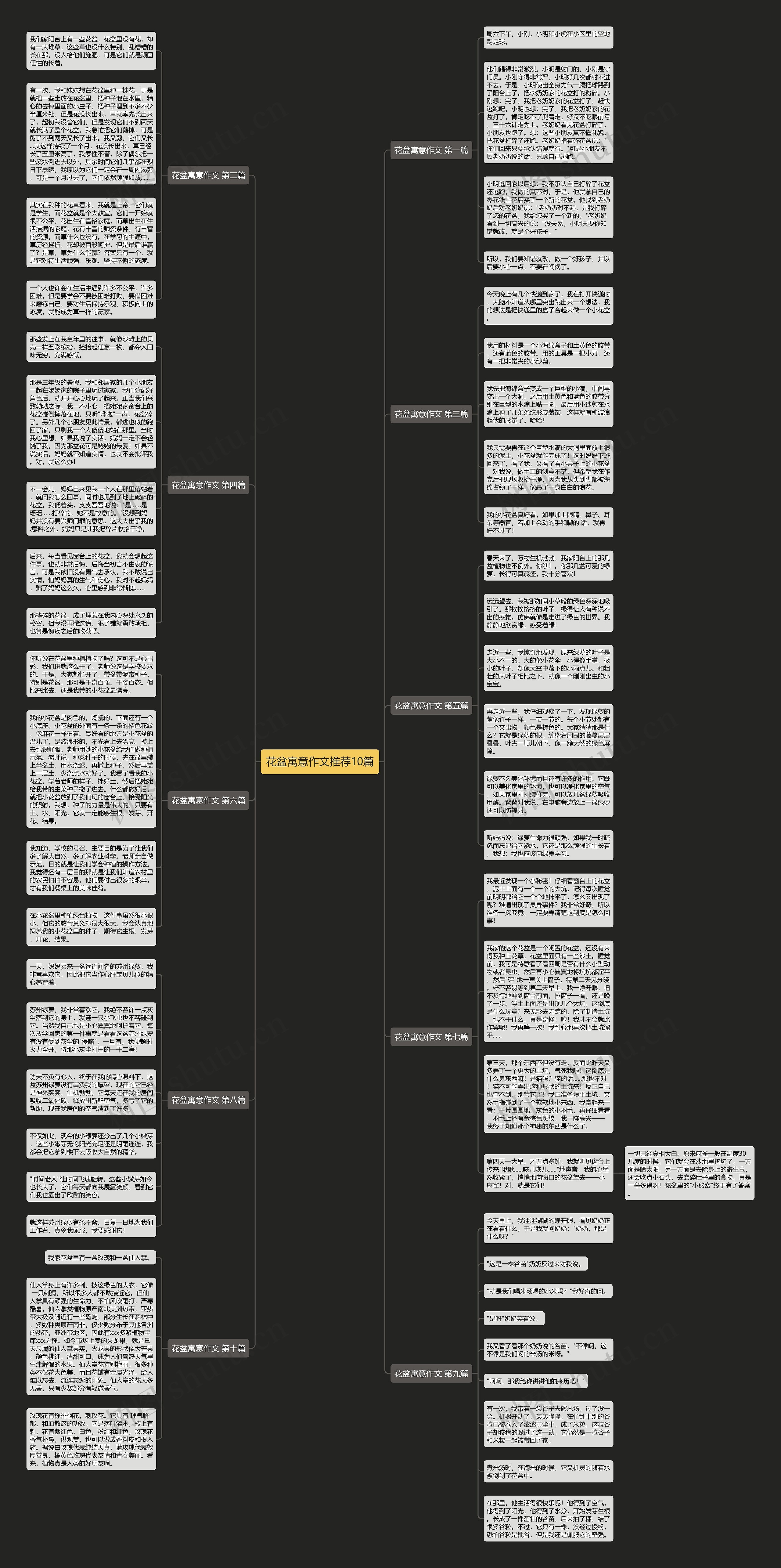 花盆寓意作文推荐10篇 花盆寓意作文推荐10篇