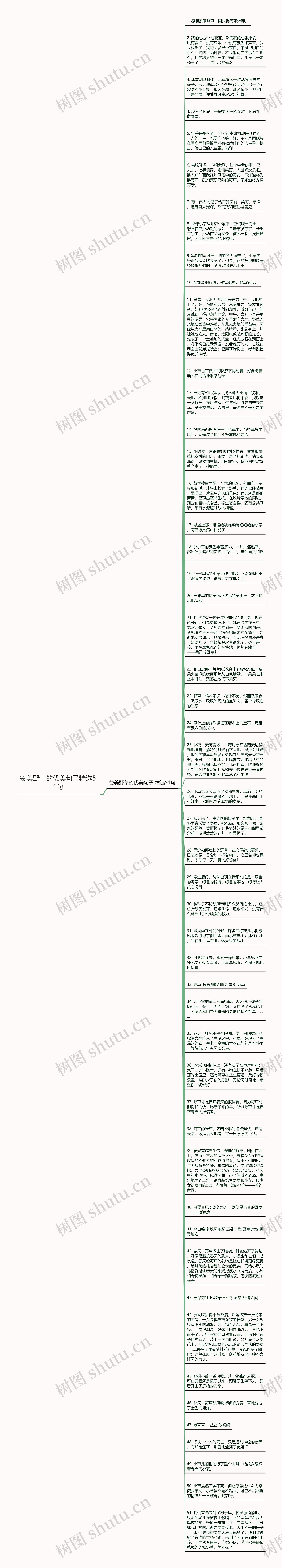 赞美野草的优美句子精选51句