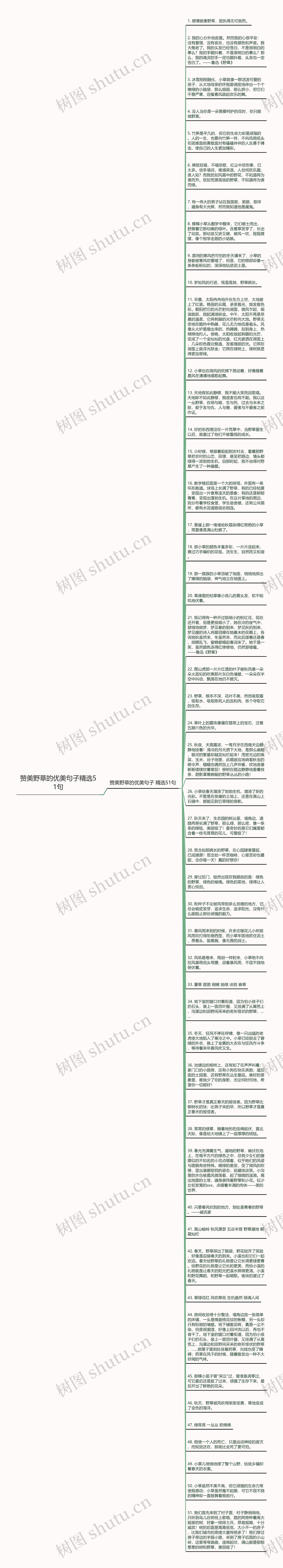 赞美野草的优美句子精选51句思维导图