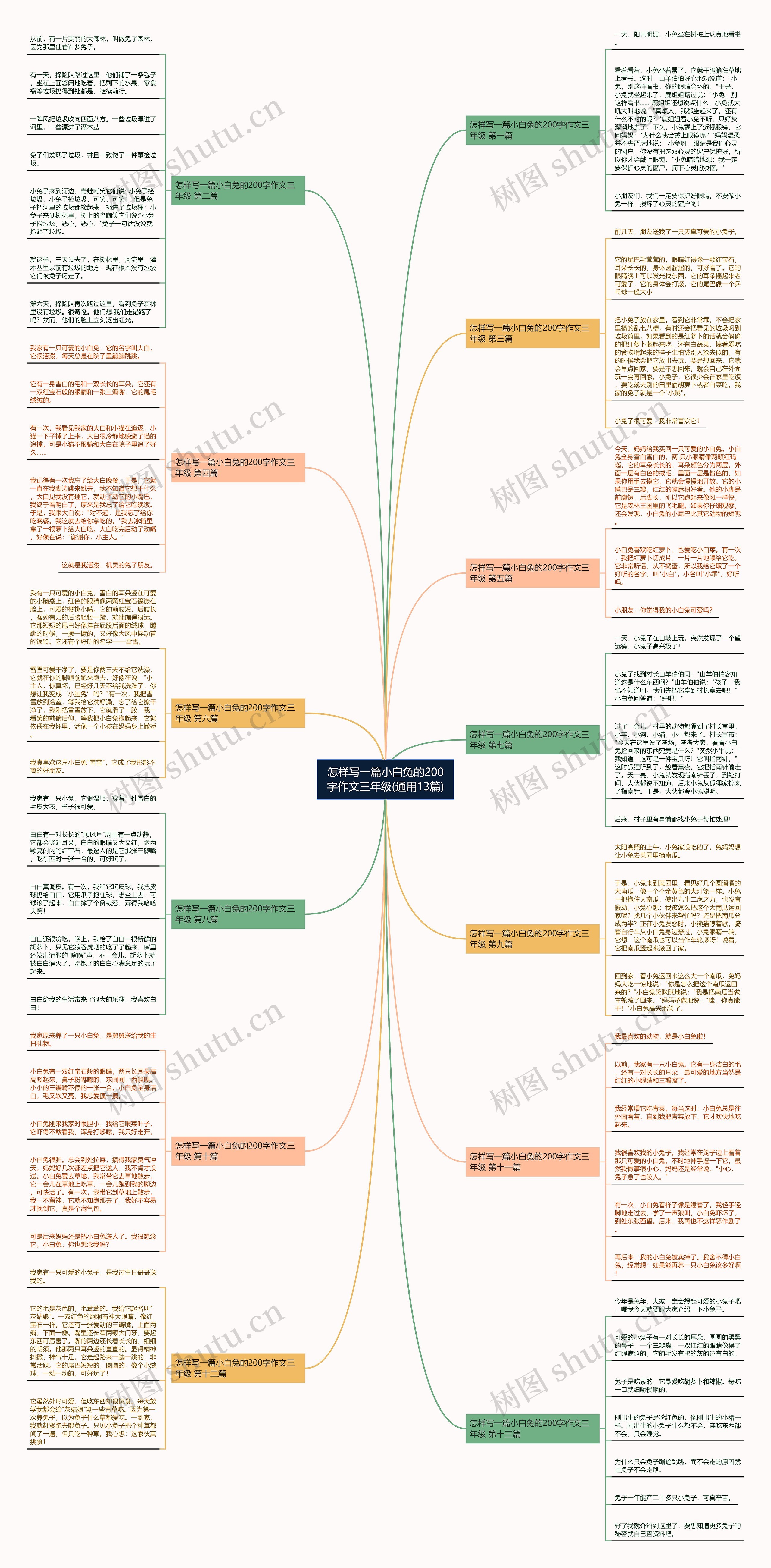 怎样写一篇小白兔的200字作文三年级(通用13篇)思维导图