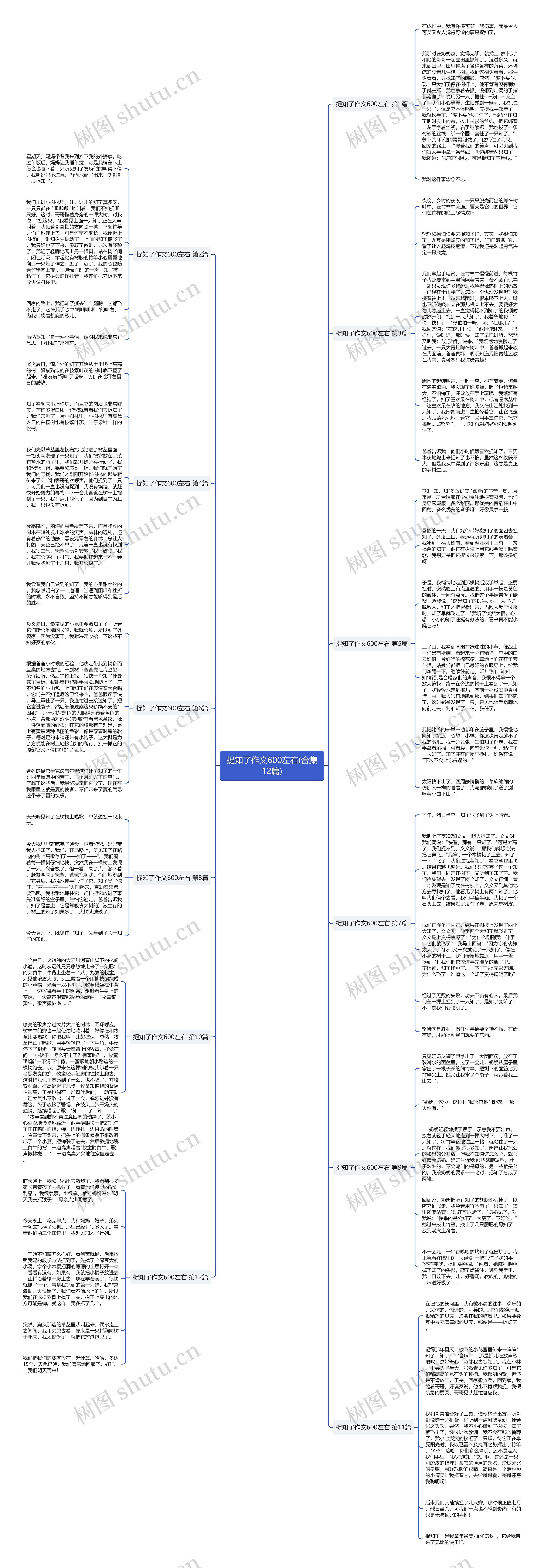 捉知了作文600左右(合集12篇)思维导图