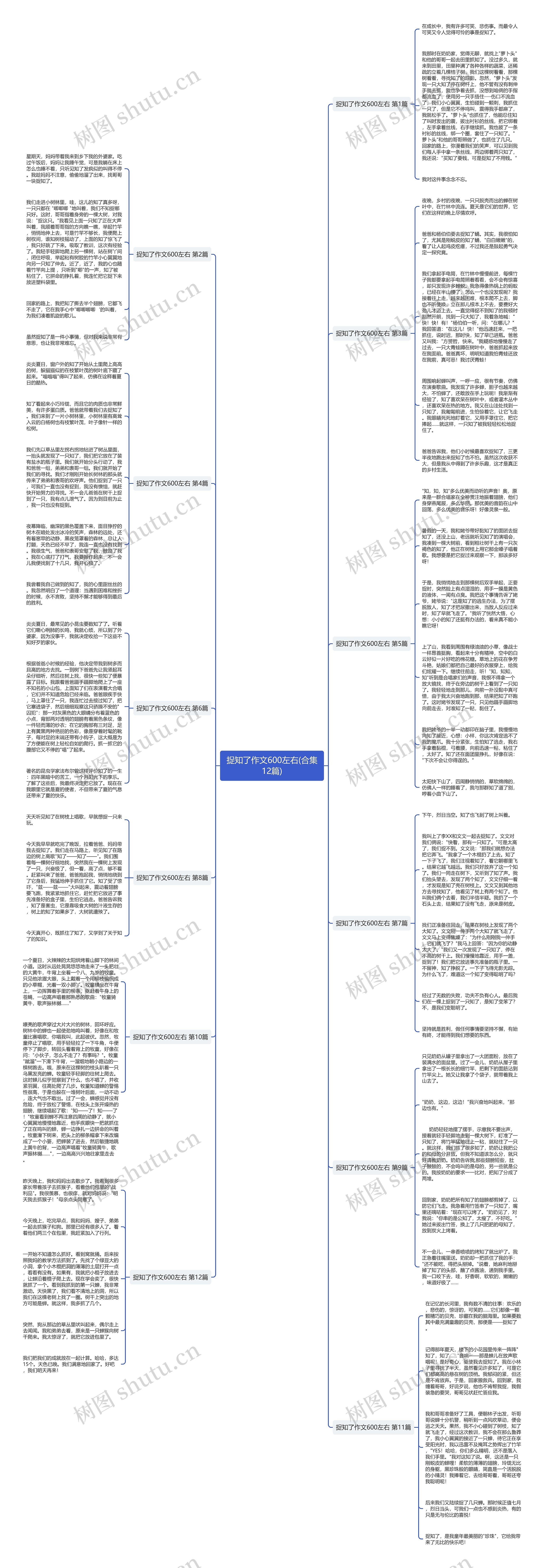 捉知了作文600左右(合集12篇)思维导图高清图 捉知了作文600左右(合集12篇)思维导图